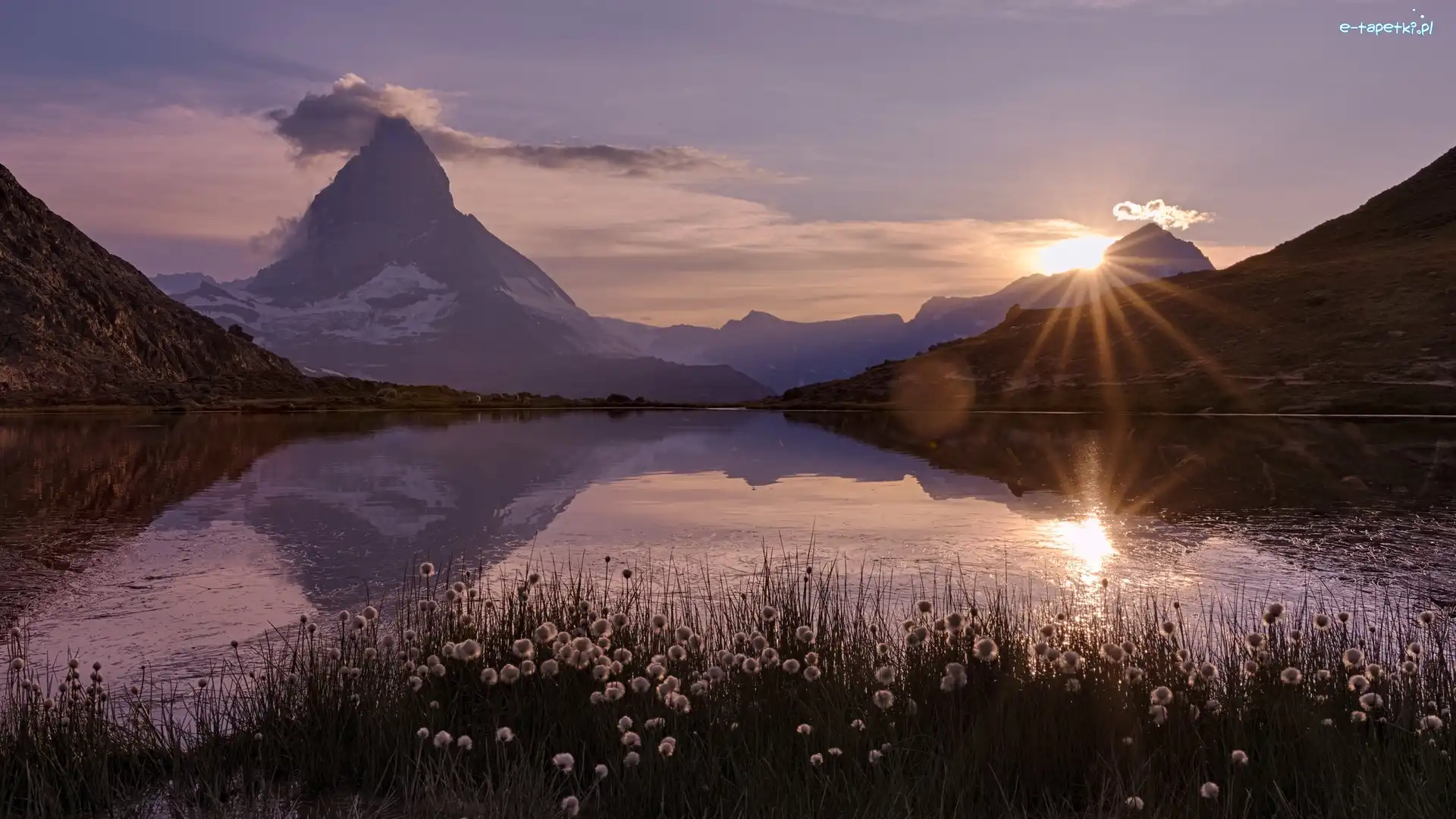Rośliny, Alpy Pennińskie, Szwajcaria, Promienie słońca, Matterhorn, Jezioro, Riffelsee, Góry, Góra, Kanton Valais