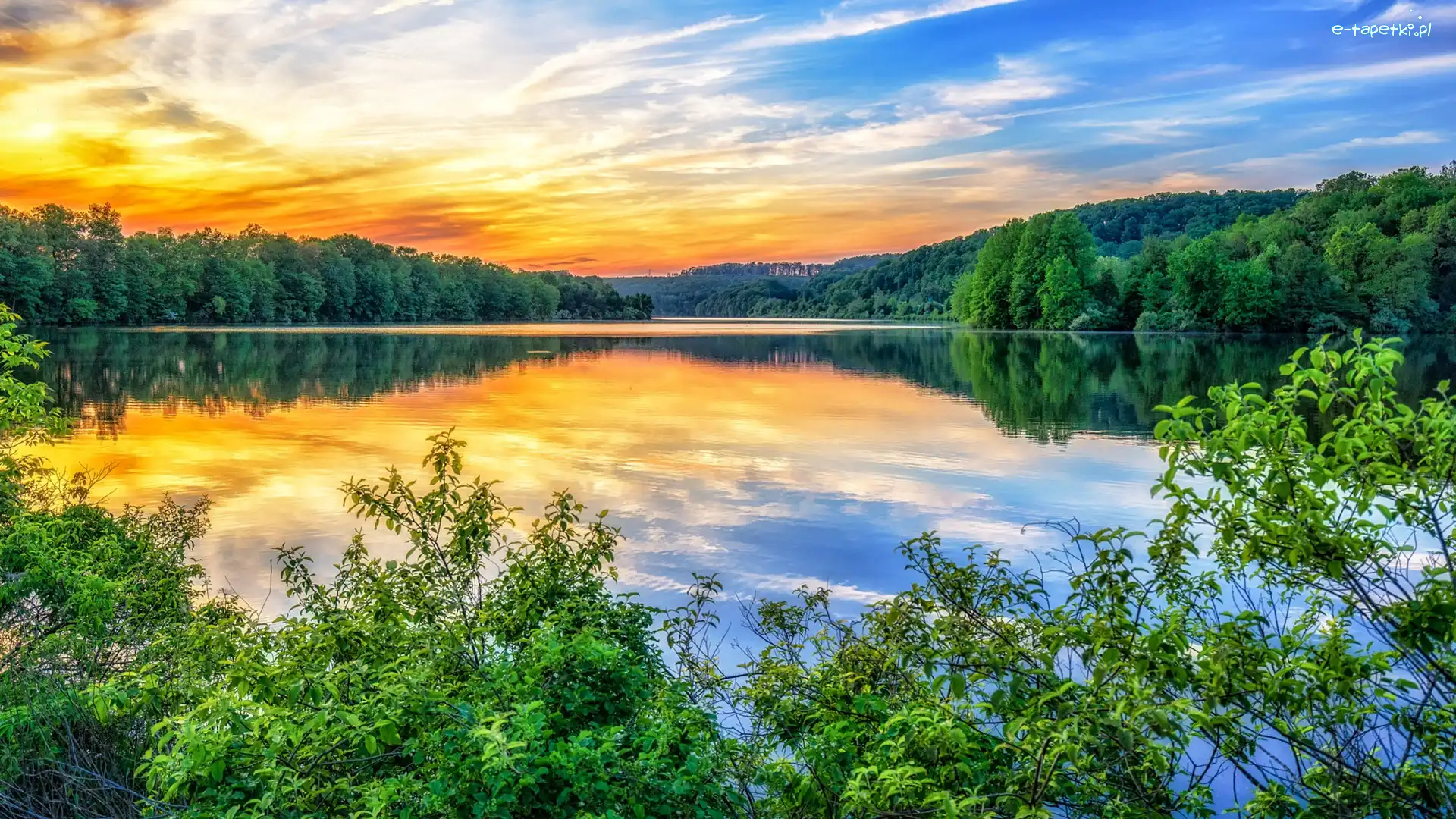 Drzewa, Wschód słońca, Krzewy, Jezioro