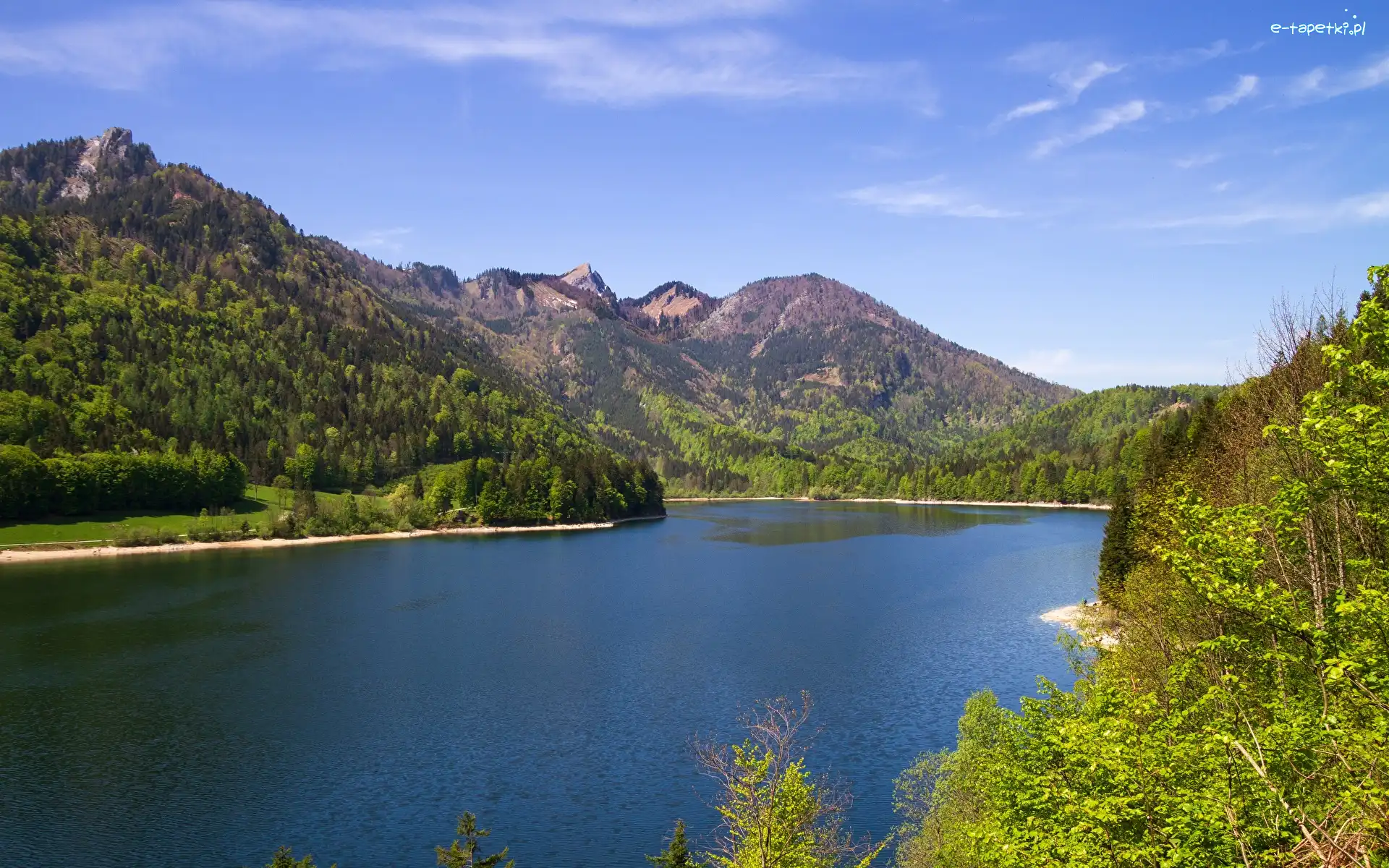 Góry, Lasy, Jezioro Schwarzensee, Austria, Drzewa