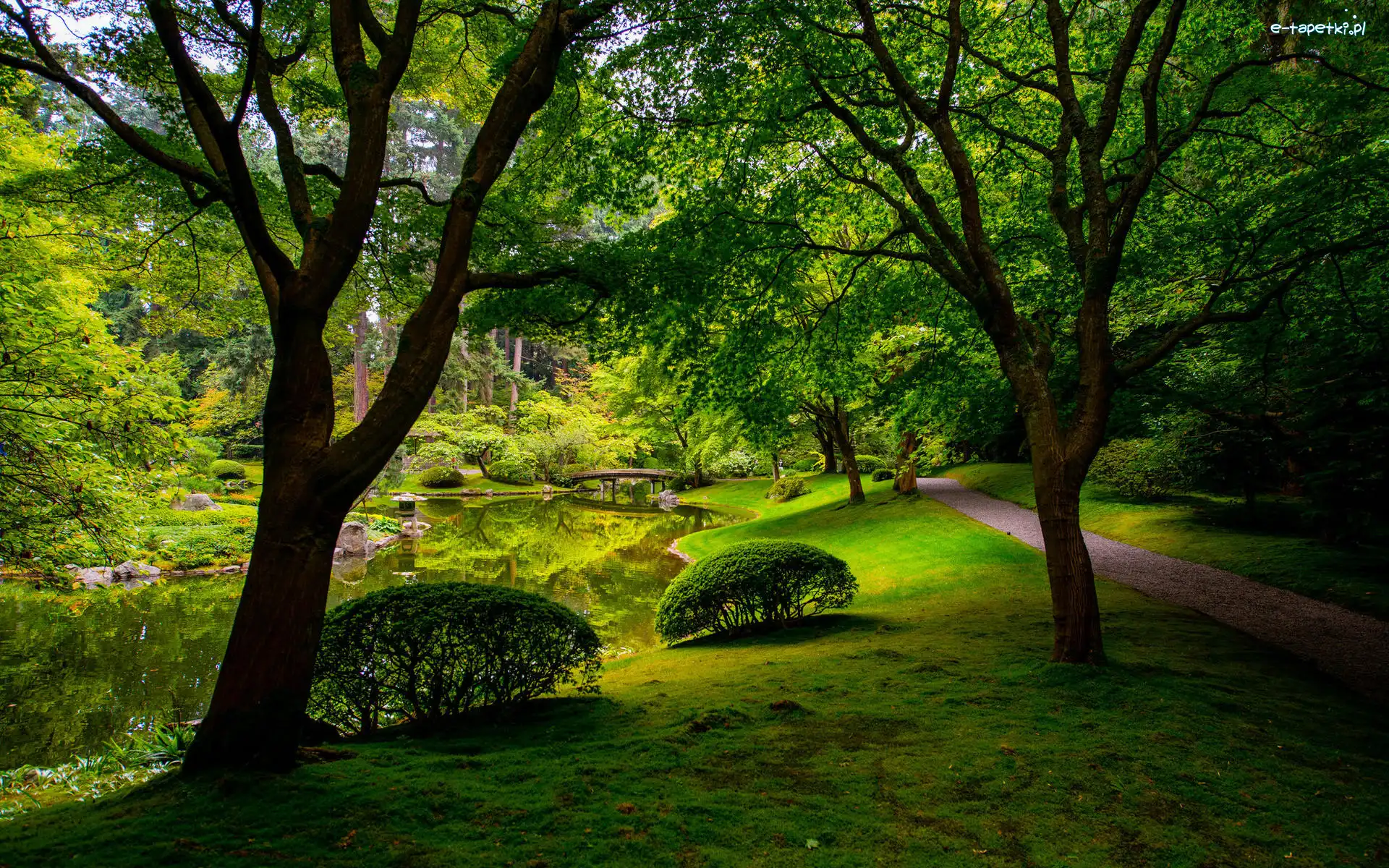 Ścieżka, Drzewa, Park, Trawa, Kanada, Nitobe Memorial Garden, Krzewy, Kamienie, Ogród, Staw, Mostek, Vancouver, West Point Grey