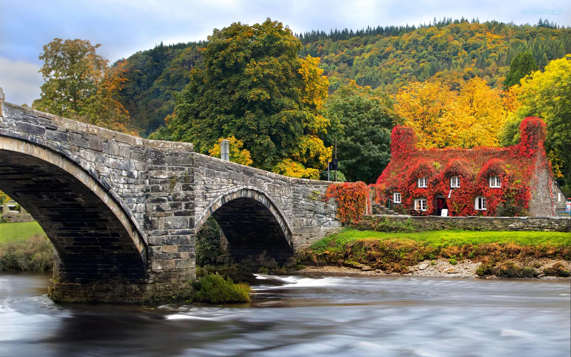 Rzeka, Las, Conwy River, Wzgórze, Walia, Dom, Drzewa, Llanrwst, Most, Drzewa, Jesień
