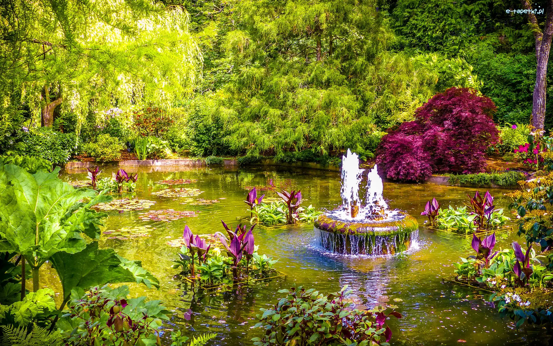 Brentwood Bay, Butchart Gardens, Kanada, Staw, Kwiaty, Rośliny, Drzewa, Ogród, Fontanna, Vancouver