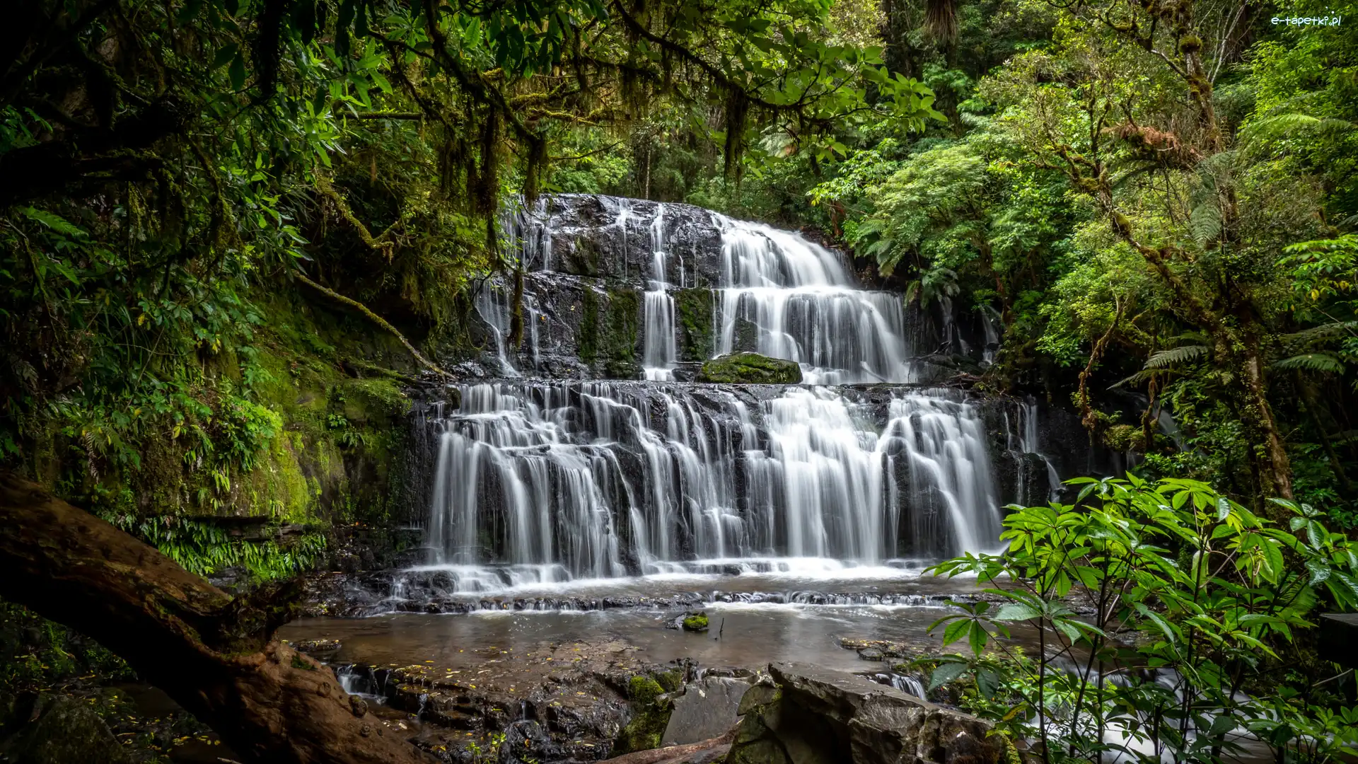 Catlins, Drzewa, Skała, Nowa Zelandia, Purakaunui Falls, Wodospad