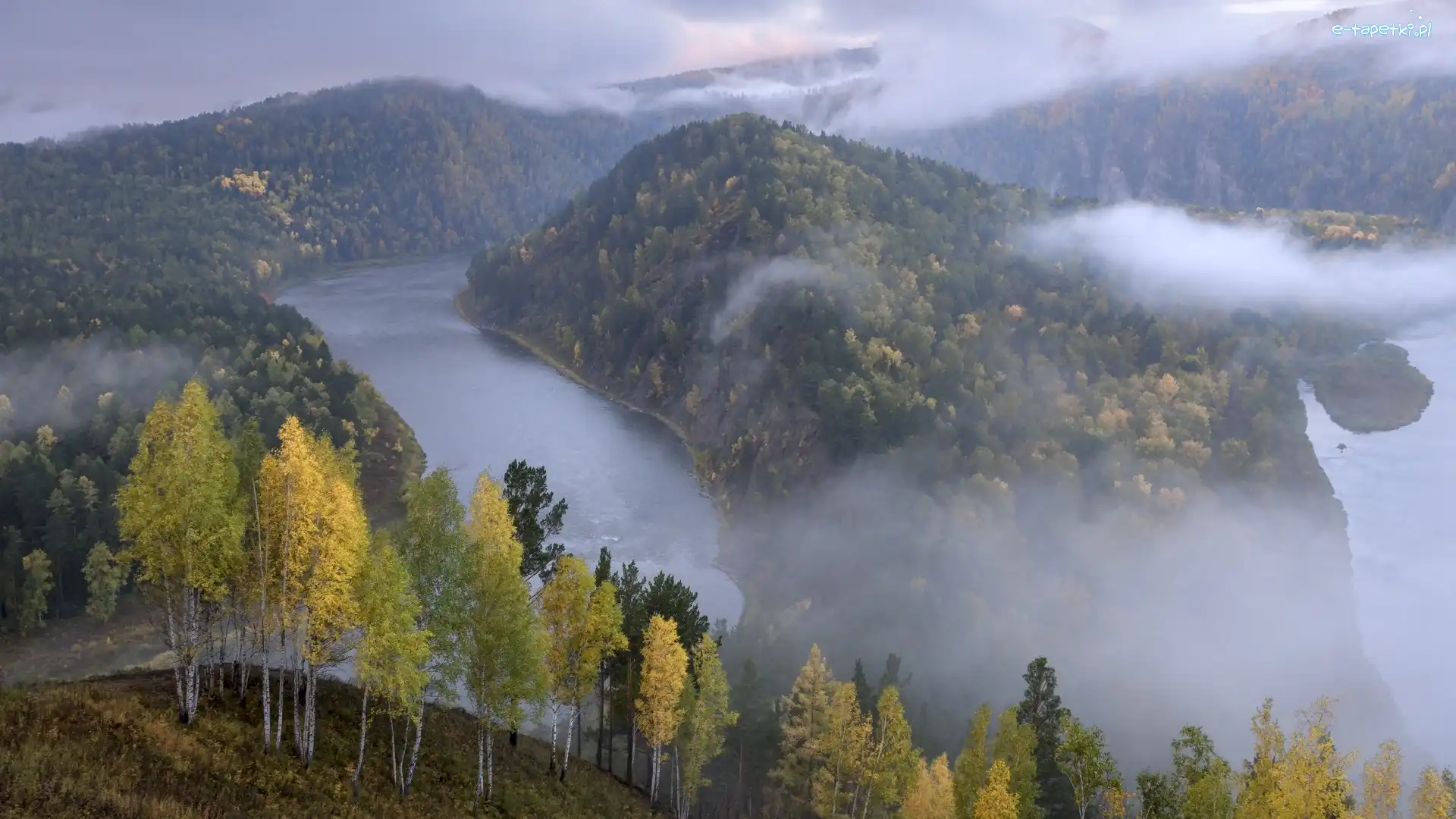 Rosja, Mgła, Góry, Lasy, Rzeka Mana, Kraj Krasnojarski, Drzewa