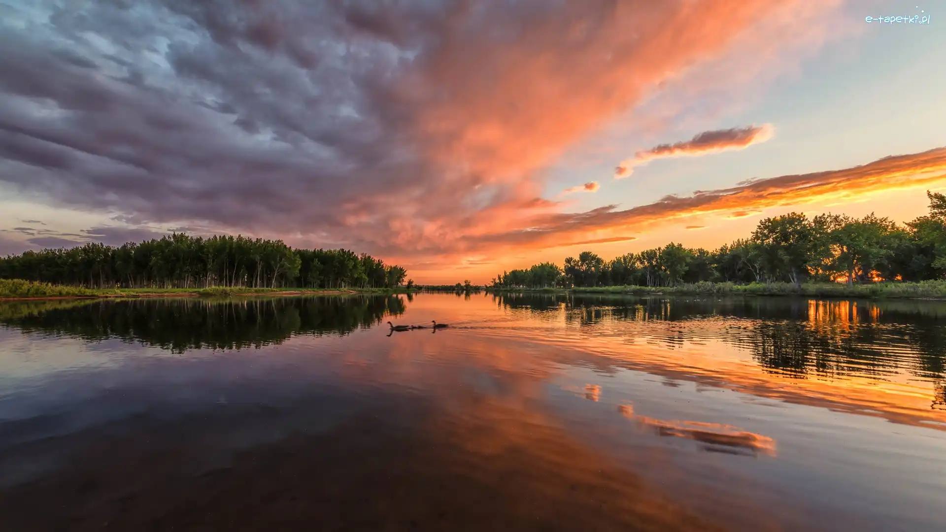 Chatfield State Park, Kolorado, Zachód słońca, Drzewa, Park stanowy, Jezioro, Chatfield Lake, Stany Zjednoczone