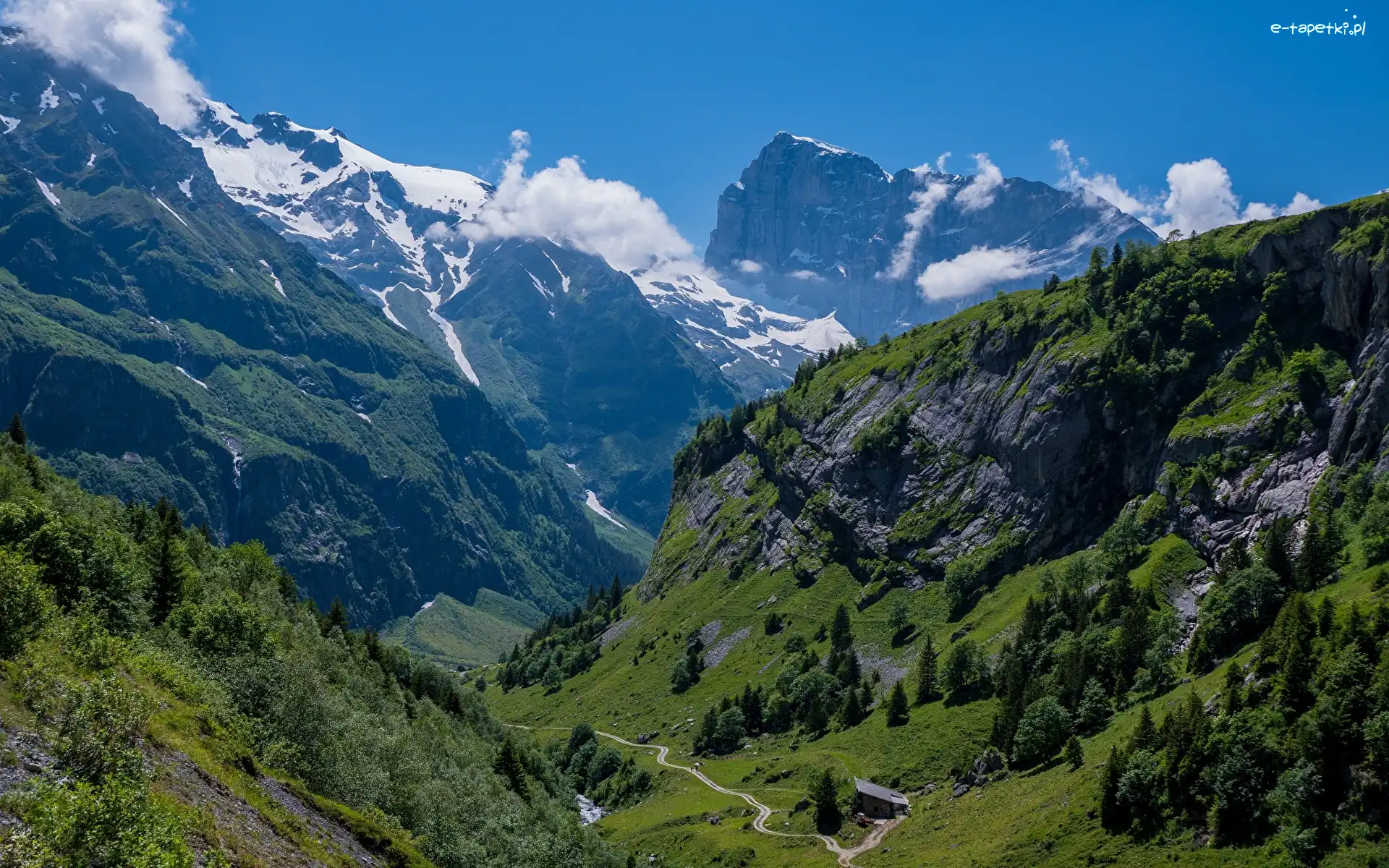 Dolina, Góry, Roślinność, Szczyt Titlis, Szwajcaria, Skały, Drzewa, Kanton Obwalden, Lasy, Alpy Berneńskie, Engelberg