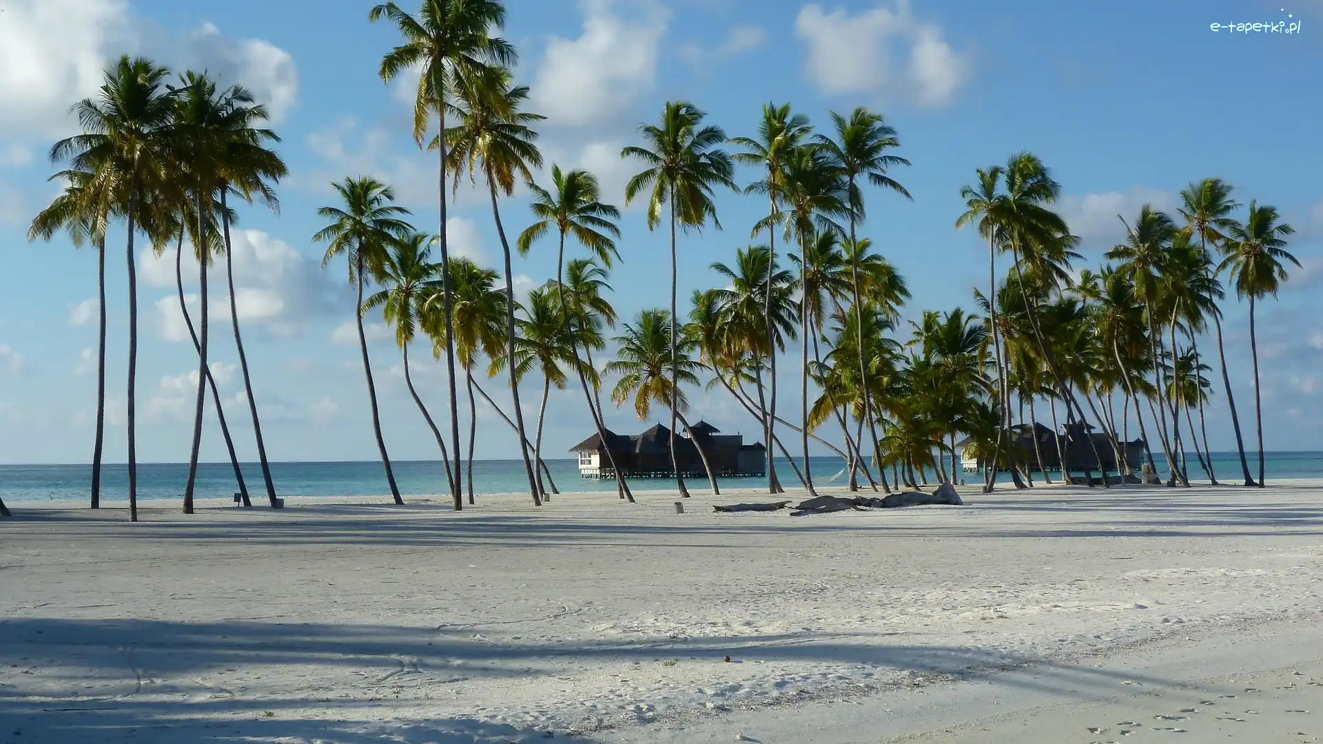 Malediwy, Budynki, Palmy, Morze, Plaża, Wyspa Lankanfushi, Niebo