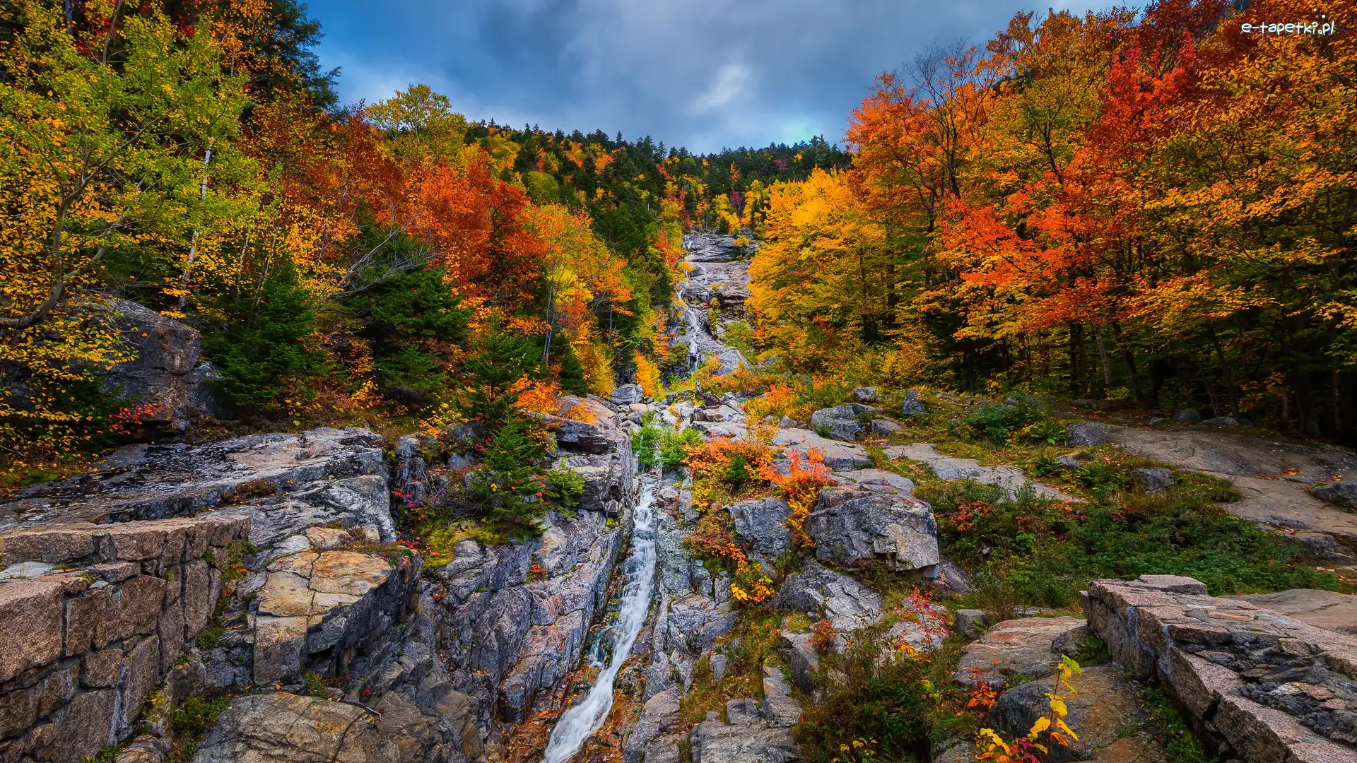 Park miejski Crawford Notch, Las, Stany Zjednoczone, Saco River, Skały, Kaskada, Rzeka, Jesień, Drzewa, Stan New Hampshire