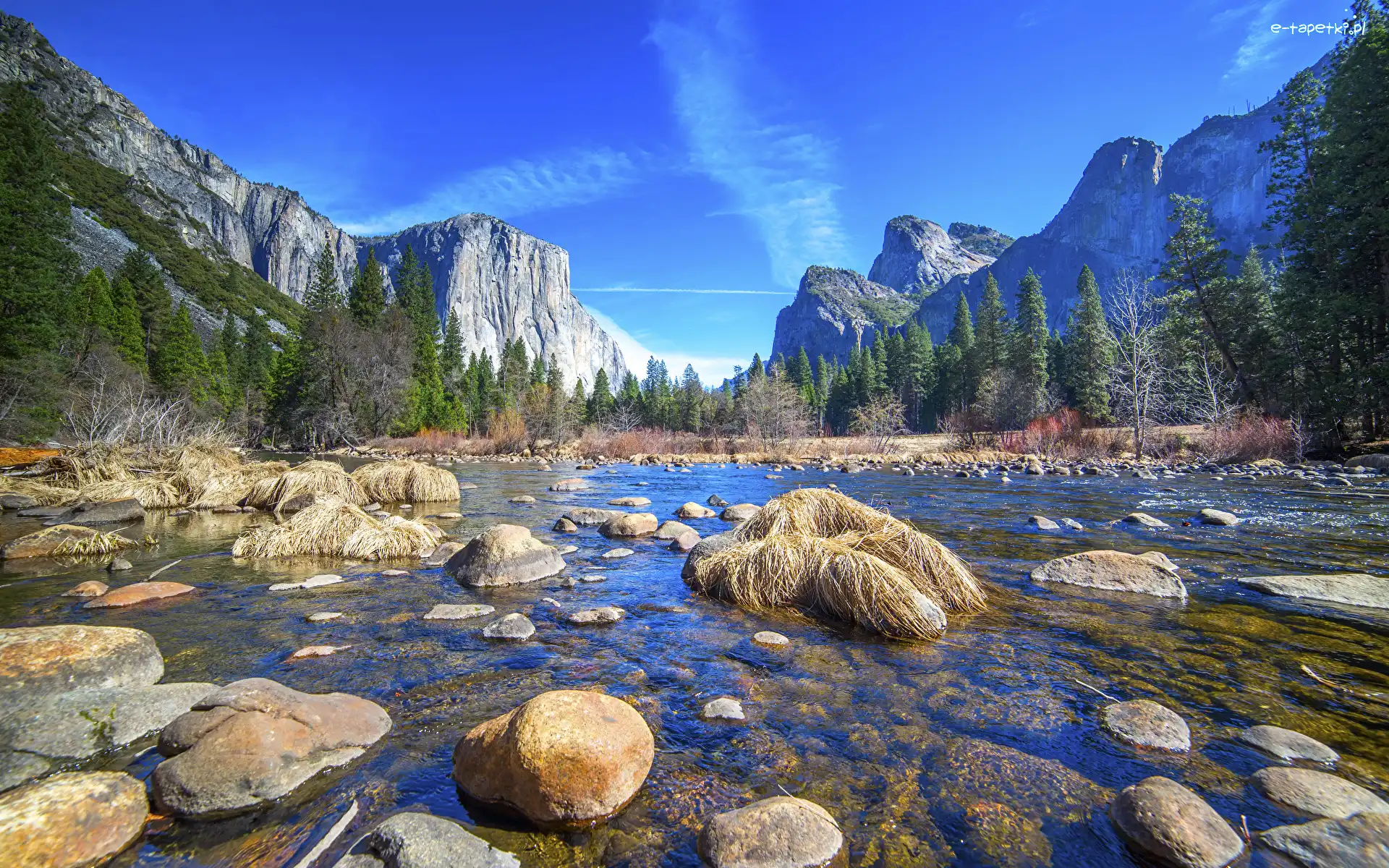 Kamienie, Merced River, Stan Kalifornia, Park Narodowy Yosemite, Stany Zjednoczone, Drzewa, Lasy, Rzeka, Góry