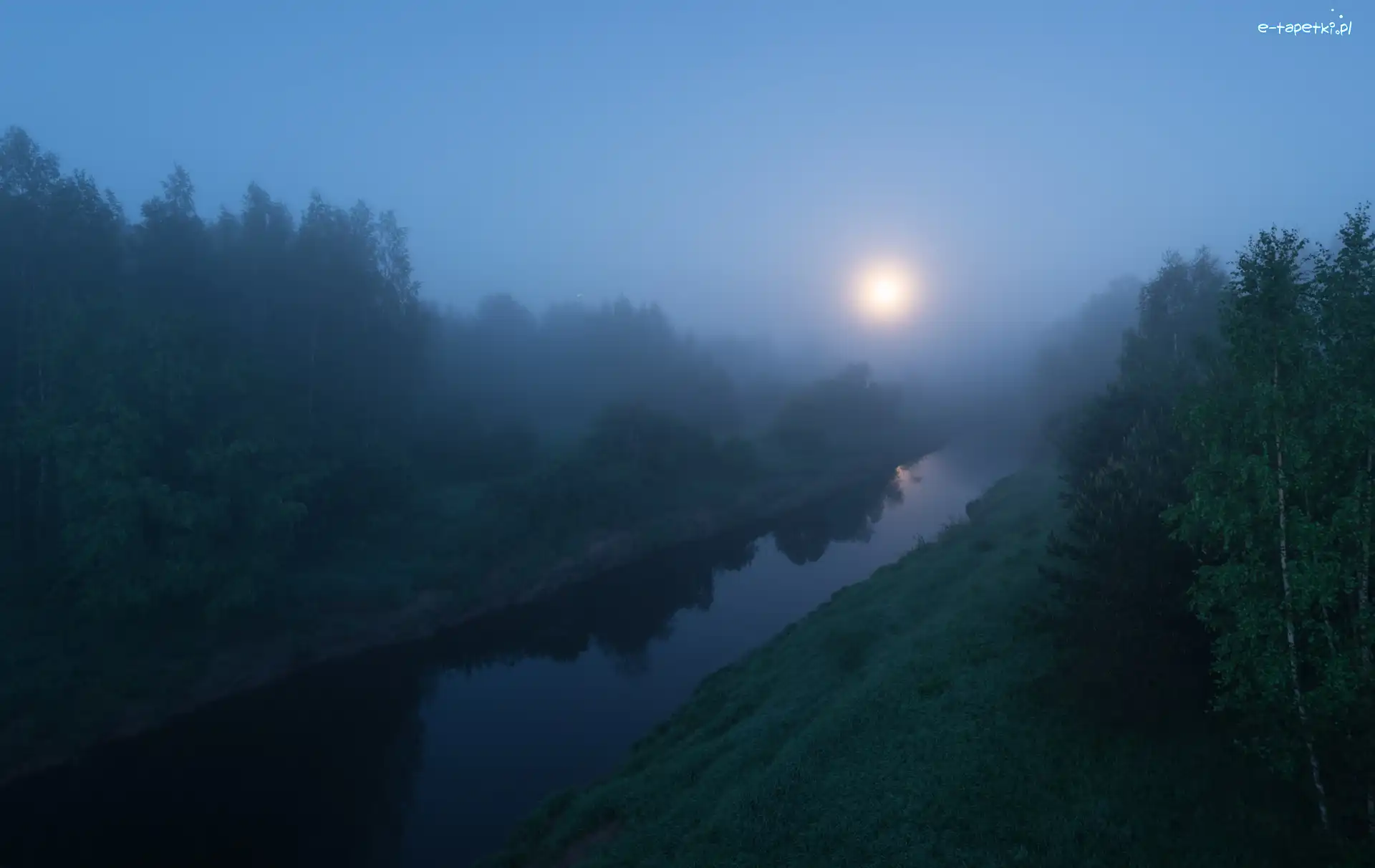 Mgła, Drzewa, Rzeka, Wschód słońca, Świt