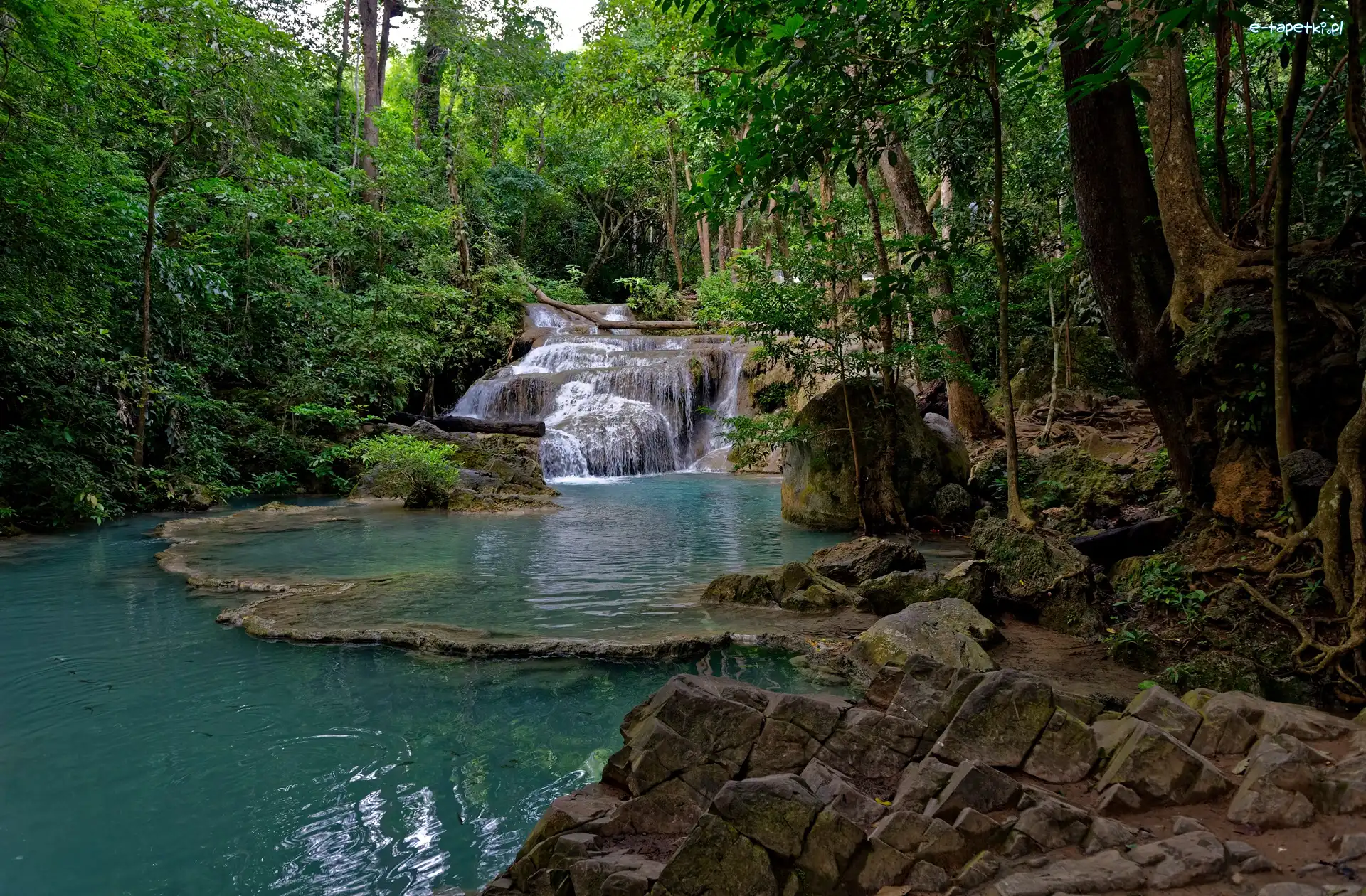 Tajlandia, Drzewa, Las, Wodospad Erawan, Kaskada, Prowincja Kanchanaburi, Park Narodowy Erawan