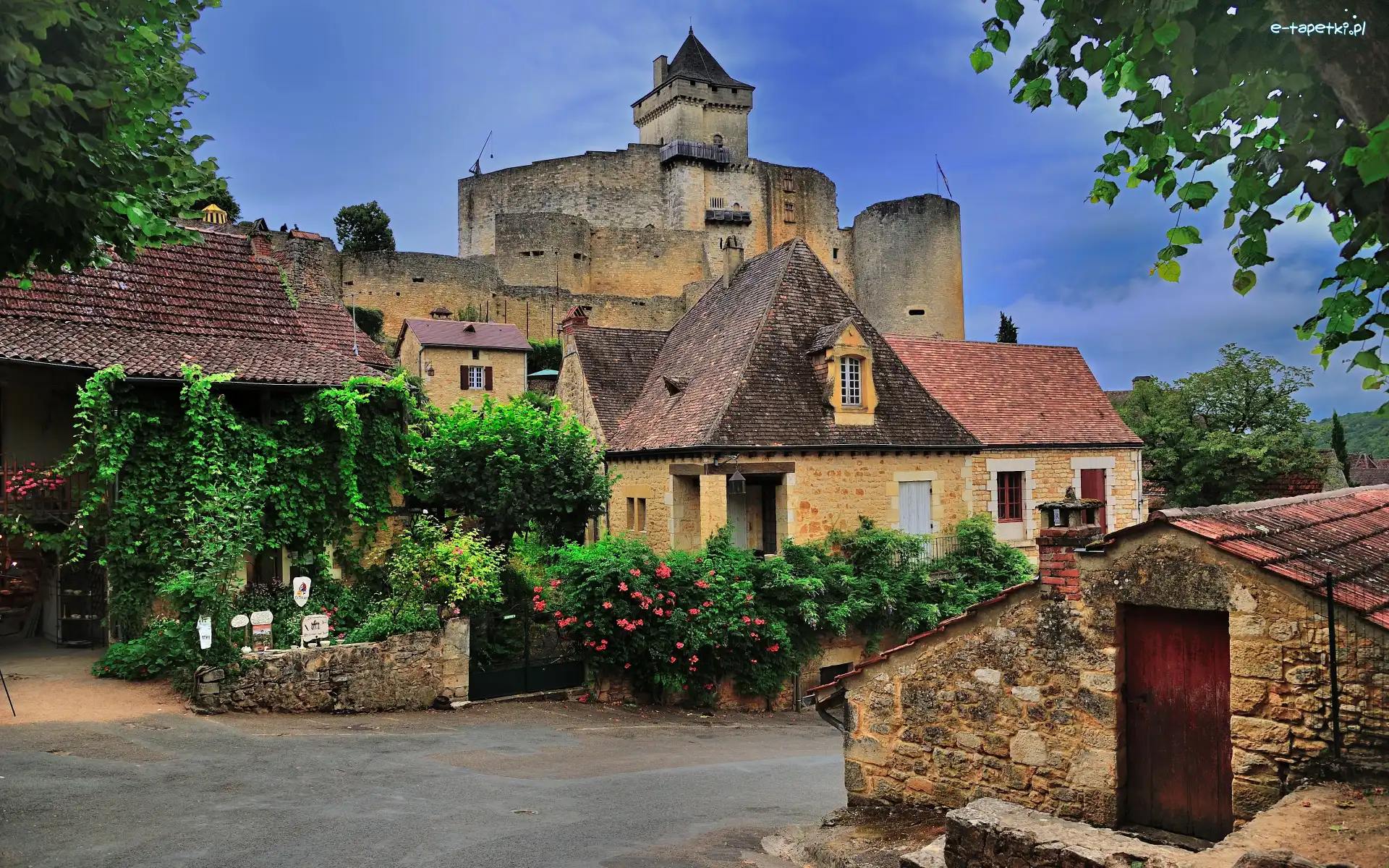 Chateau de Castelnaud, Ulica, Francja, Płot, Zamek, Kwiaty, Roślinność, Domy