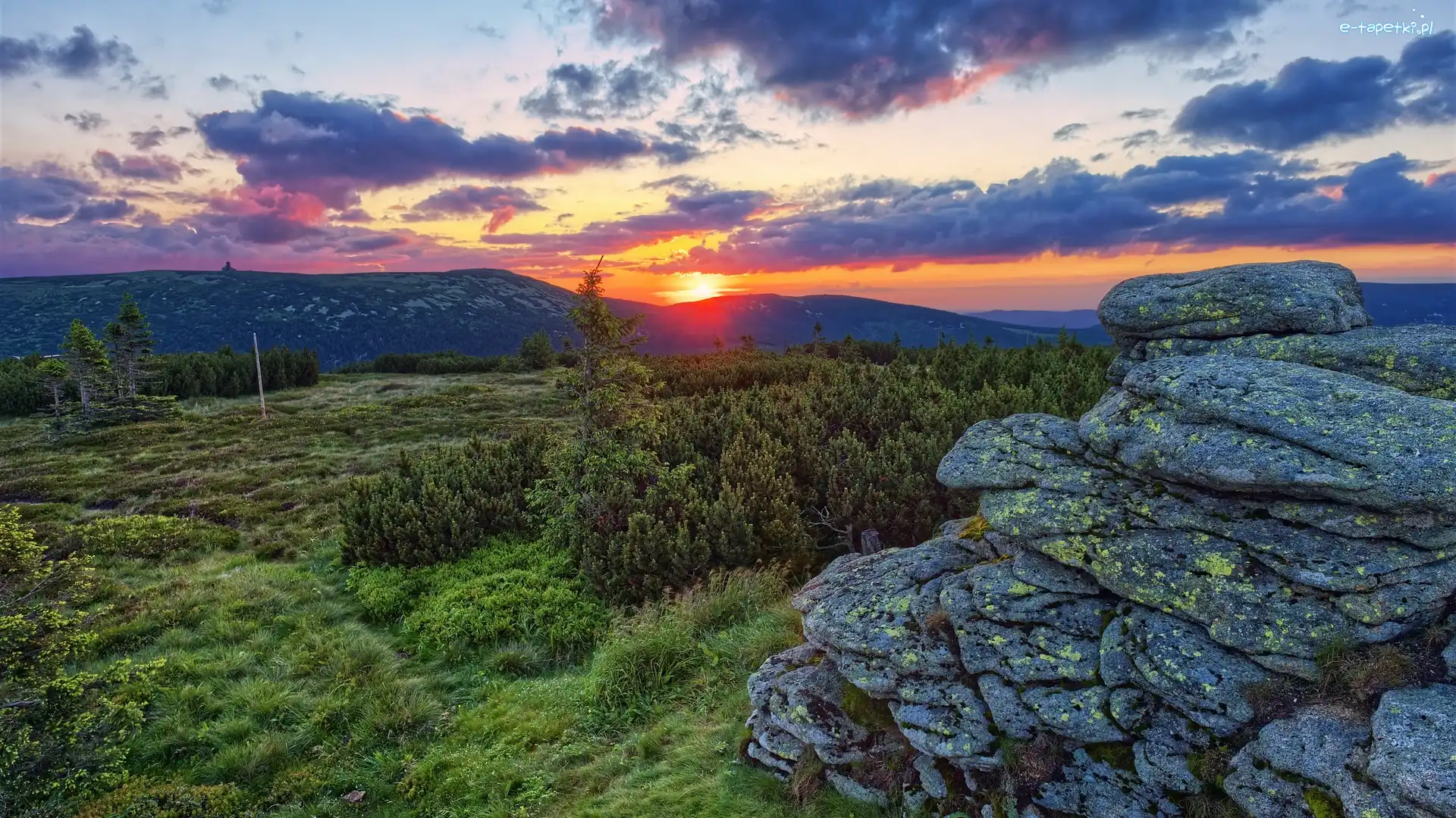 Polska, Karkonosze, Chmury, Góry, Zachód słońca, Drzewa, Skały