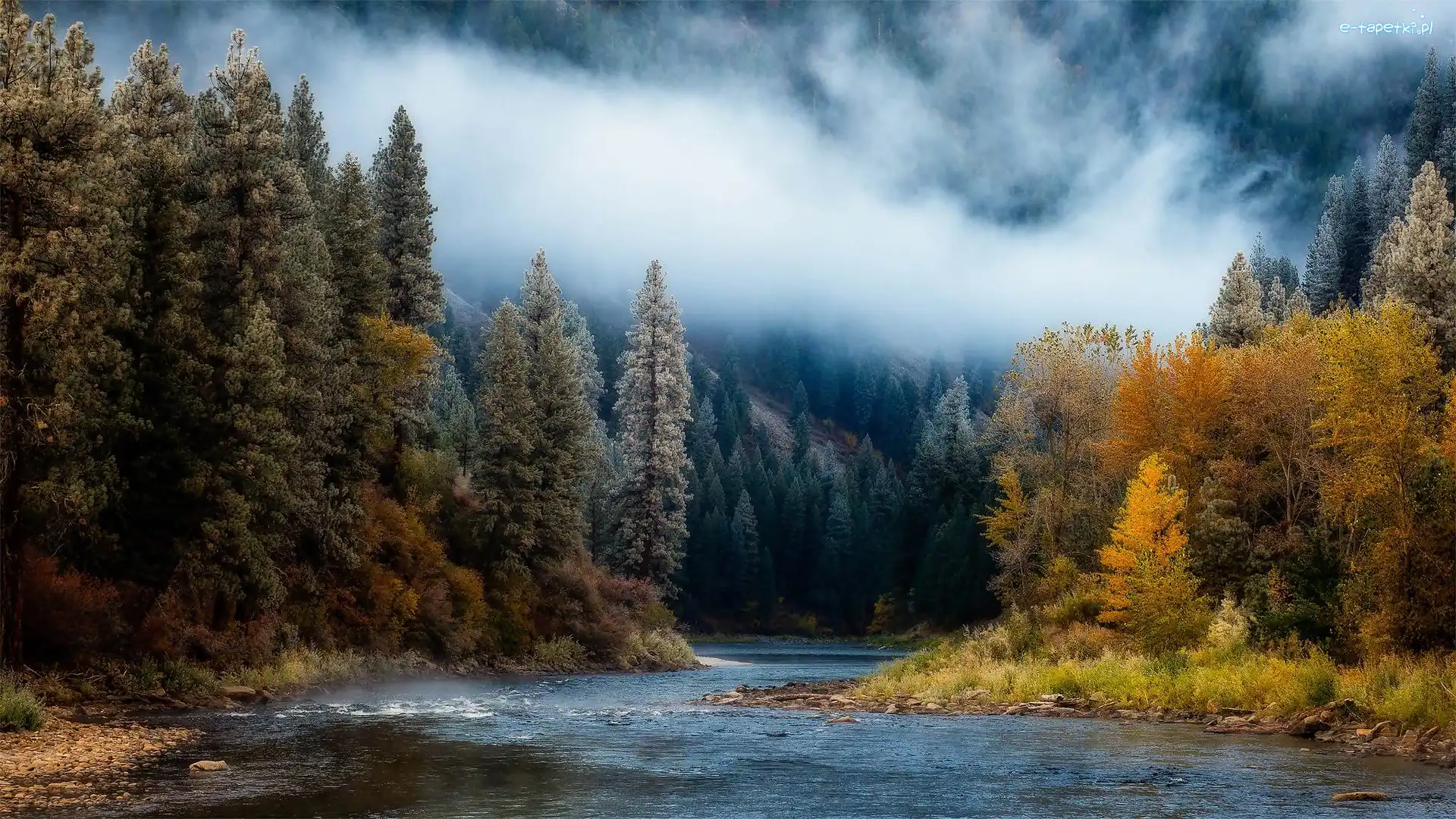 Stany Zjednoczone Jesień, Rzeka, Payette River, Drzewa, Jesień, Stan Idaho, Mgła