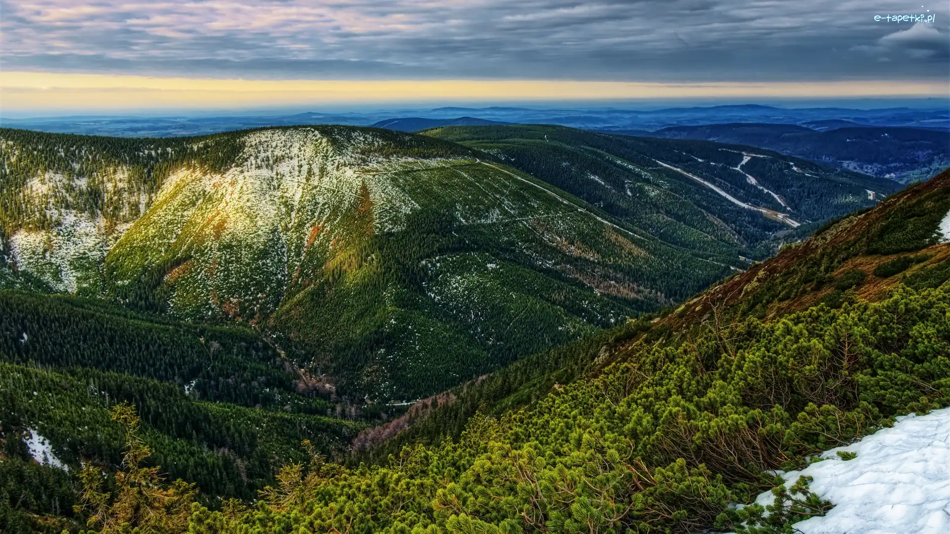 Zalesione, Karkonosze, Góry, Krzewy, Śnieg