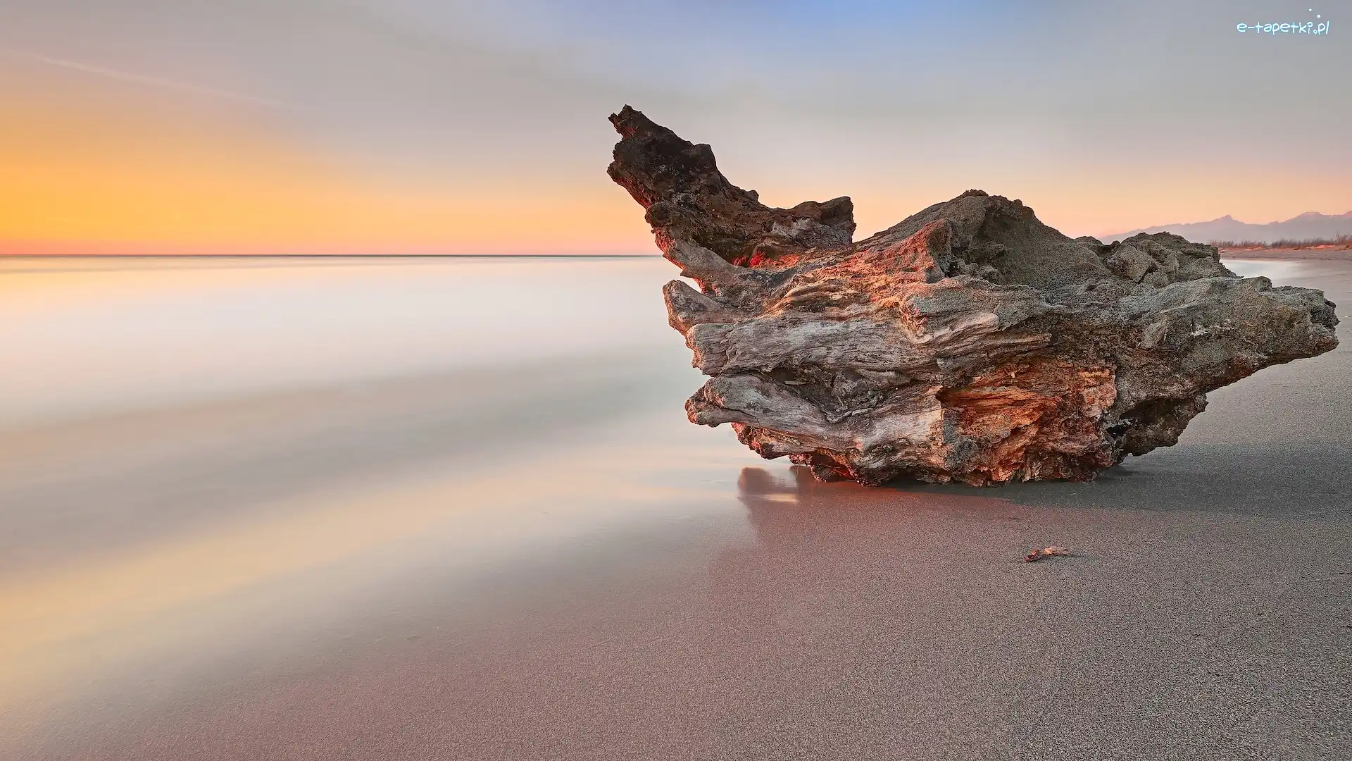 Konar, Zachód słońca, Piasek, Pień, Plaża, Morze