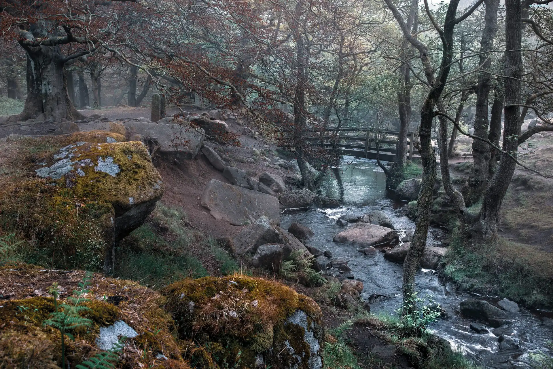 Anglia, Drzewa, Kamienie, Rzeka Burbage Brook, Mostek, Hrabstwo Derbyshire, Grindleford