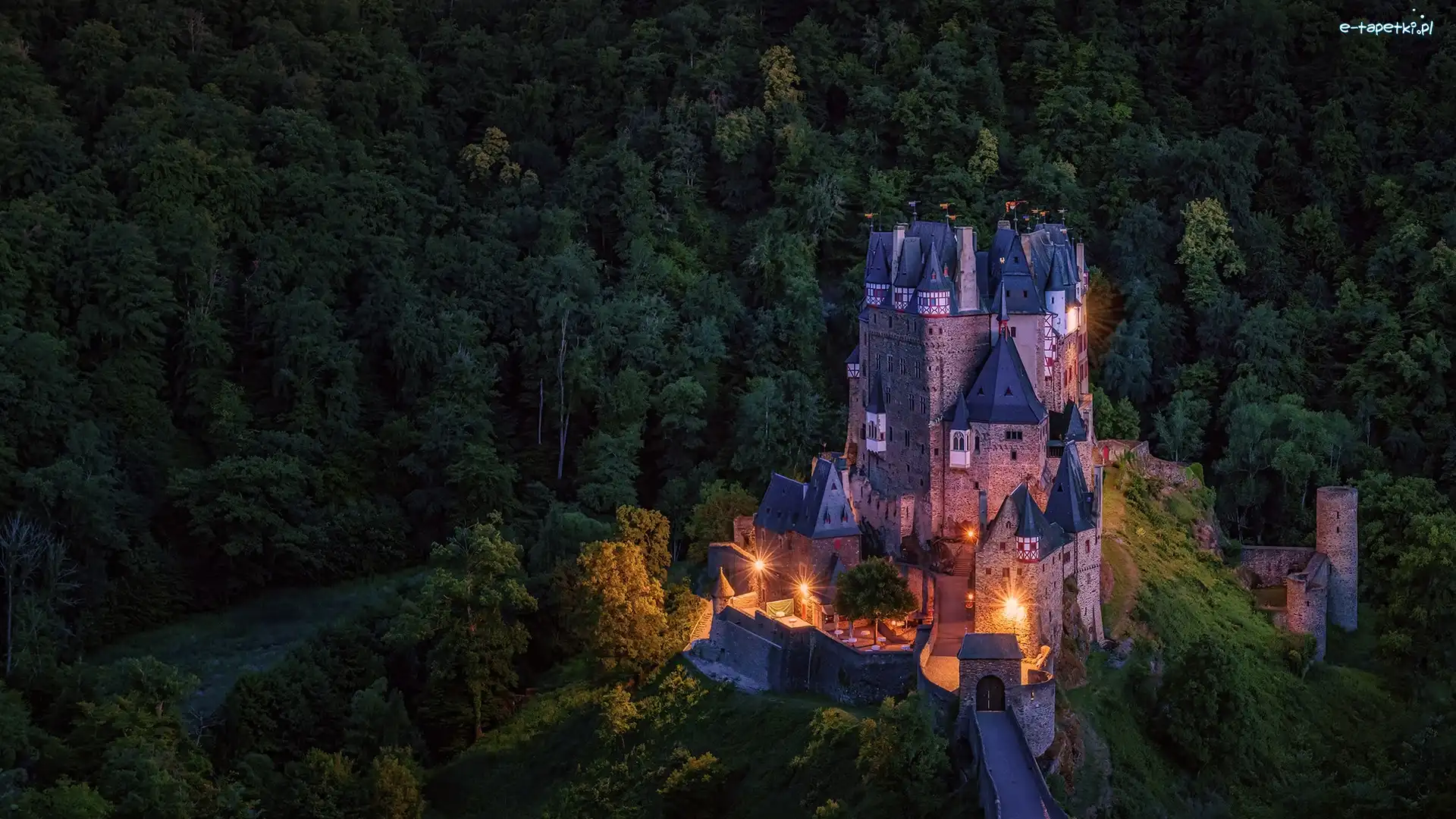 Noc, Oświetlony, Niemcy, Gmina Wierschem, Zamek Eltz, Las, Drzewa, Góry Eifel