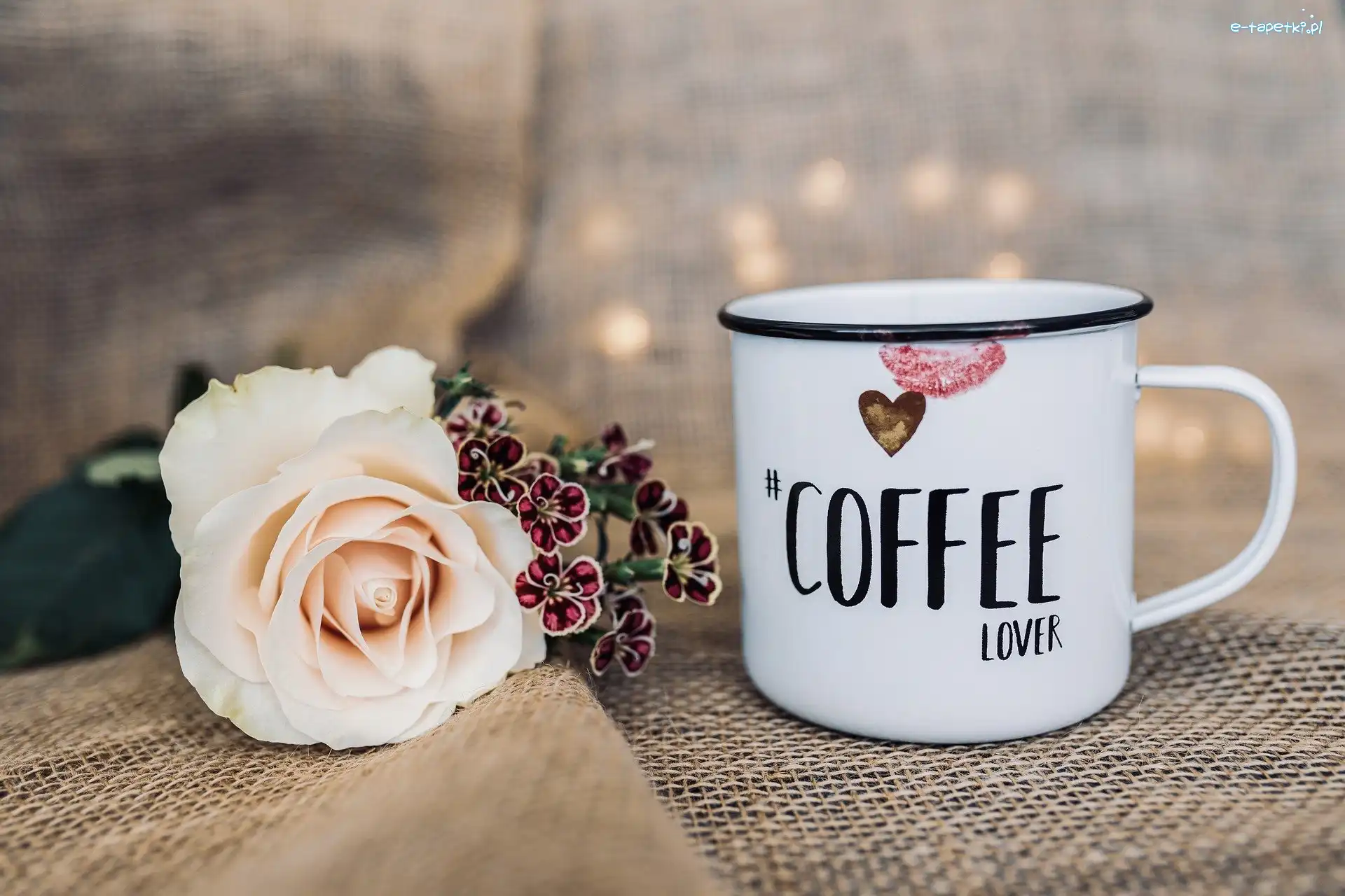 Napis, Róża, Garnuszek, Coffee lover, Kwiaty, Kawa