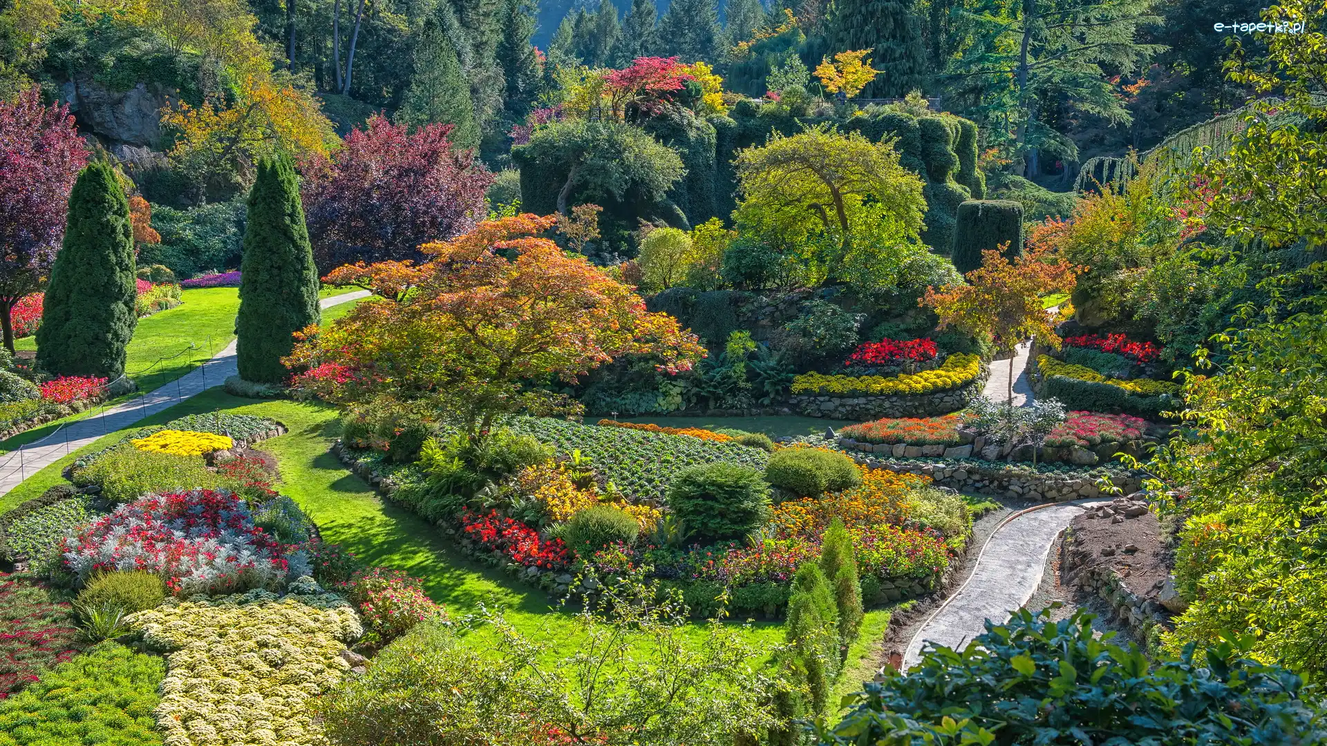 Butchart Gardens, Alejki, Rabaty, Drzewa, Ogród, Kanada, Kolumbia Brytyjska, Klomby, Brentwood Bay