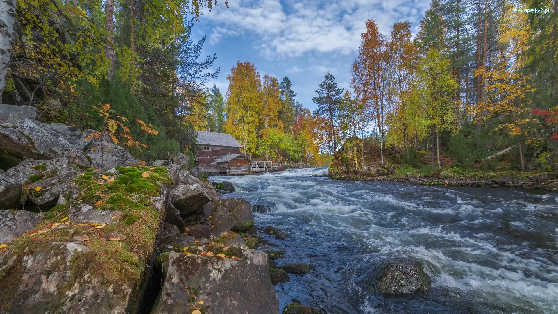 Młyn Myllykoski, Park Narodowy Oulanka, Finlandia, Laponia, Drewniany, Drzewa, Rzeka, Jesień