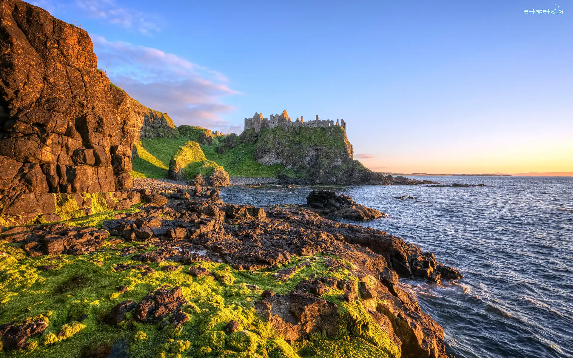 Rośliny, Kamienie, Zamek Dunluce, Morze, Irlandia Północna, Skały, Ruiny