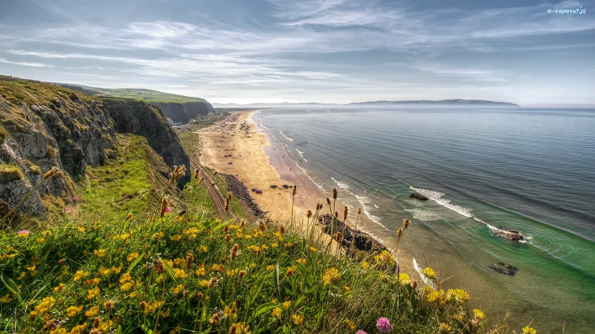 Kwiaty, Wybrzeże, Irlandia Północna, Hrabstwo Londonderry, Skały, Plaża, Benone Beach, Morze