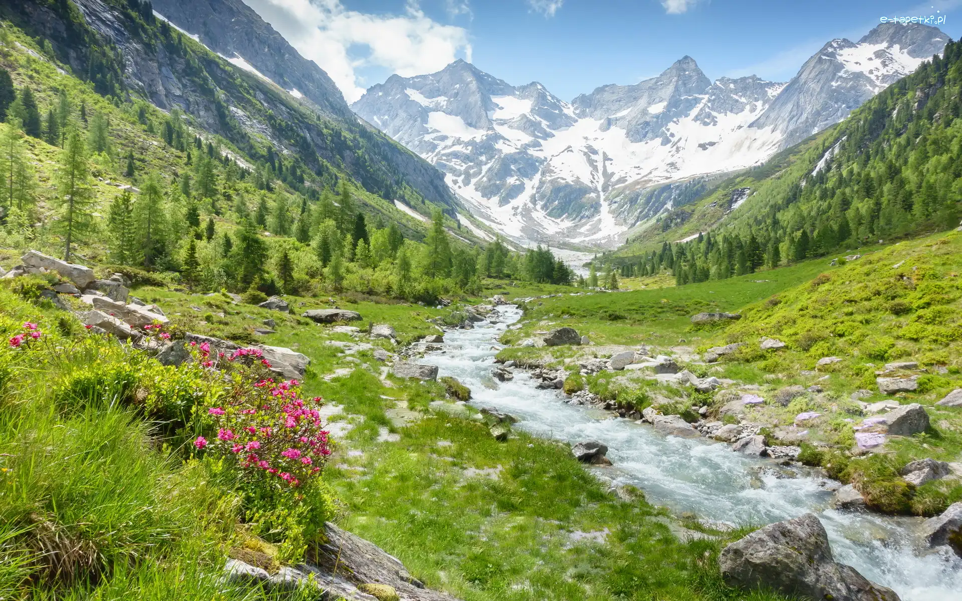 Rzeka Ziller, Alpy, Austria, Powiat Schwaz, Dolina Zillertal, Kwiaty, Drzewa, Góry