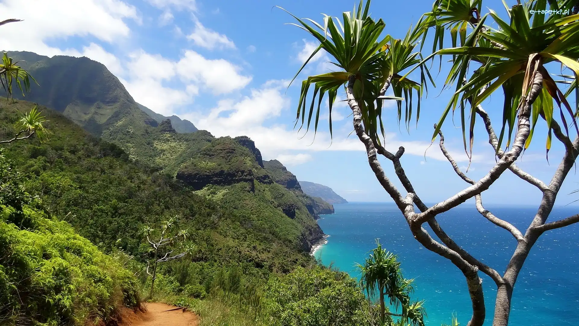Hawaje, Zatoka, Wailua Bay, Palmy, Góry, Wyspa Kauai, Morze