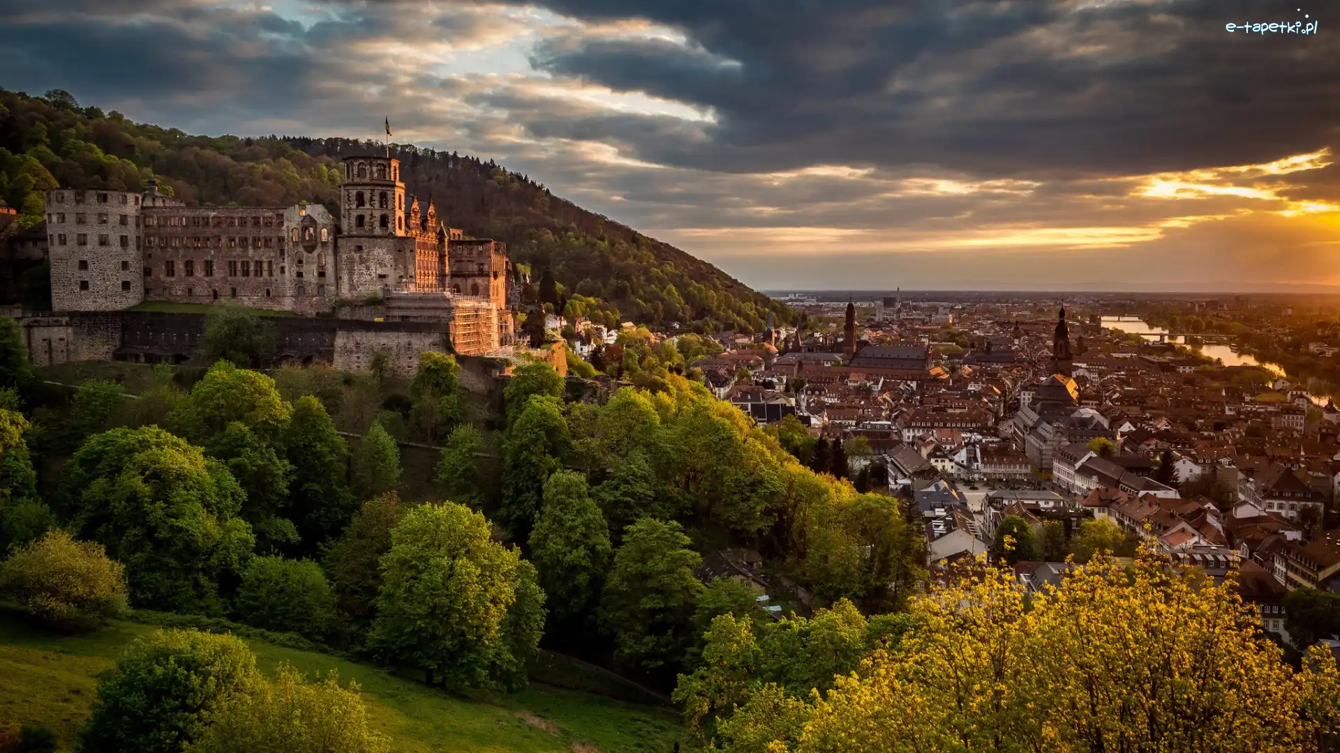 Zamek w Heidelbergu, Rzeka Neckar, Drzewa, Niemcy, Heidelberg