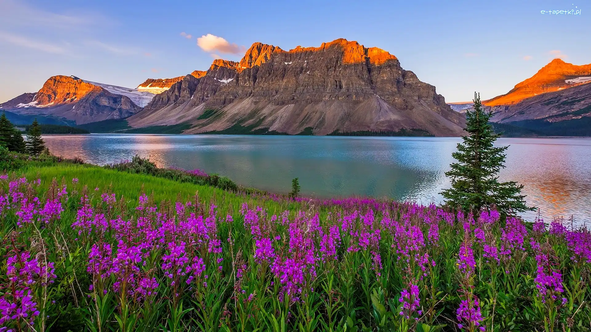Góra Crowfoot Mountain, Prowincja Alberta, Wschód słońca, Drzewa, Park Narodowy Banff, Jezioro Bow Lake, Kwiaty, Kanada