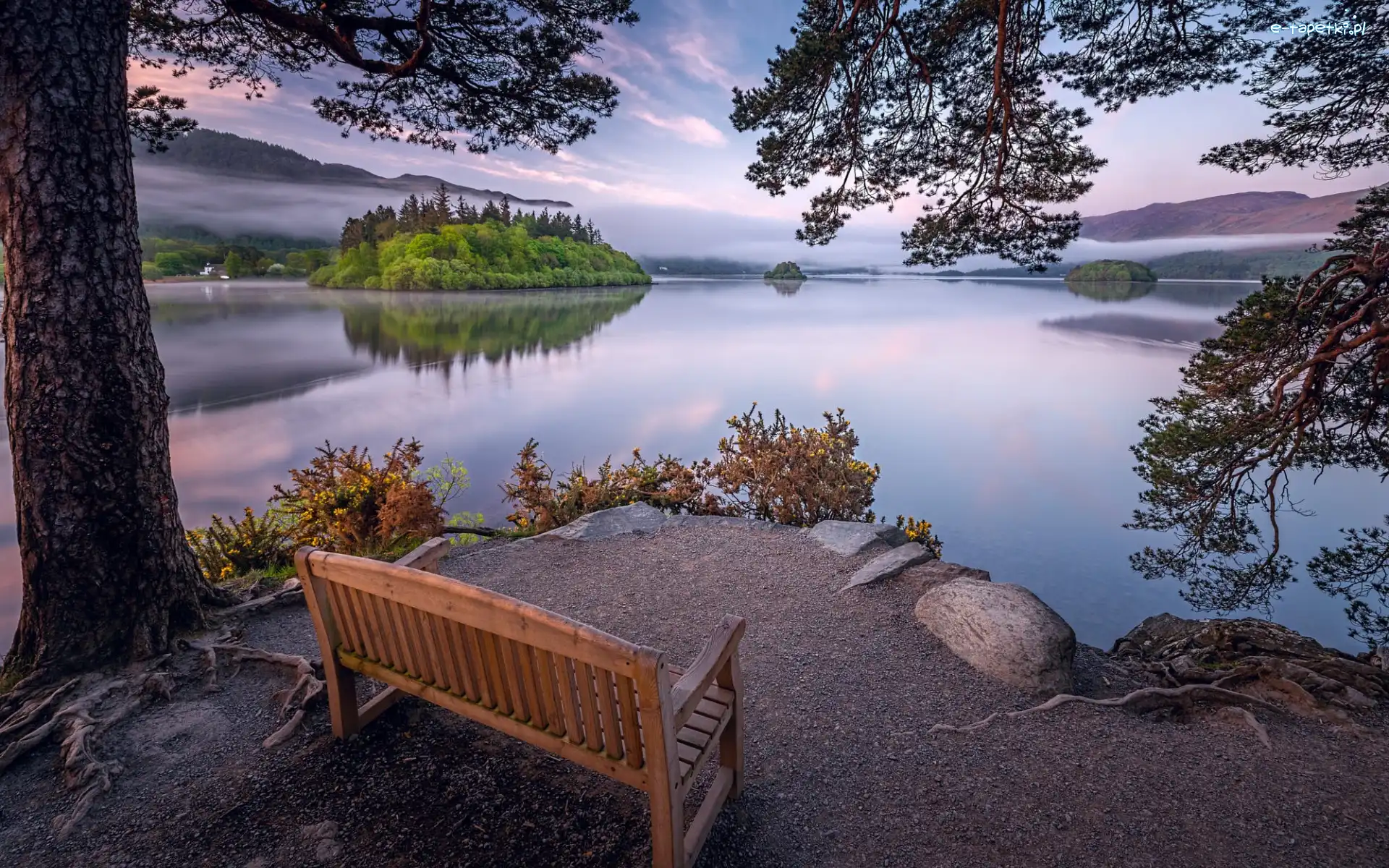 Anglia, Drzewo, Ławka, Wysepka, Jezioro, Kumbria, Park Narodowy Lake District