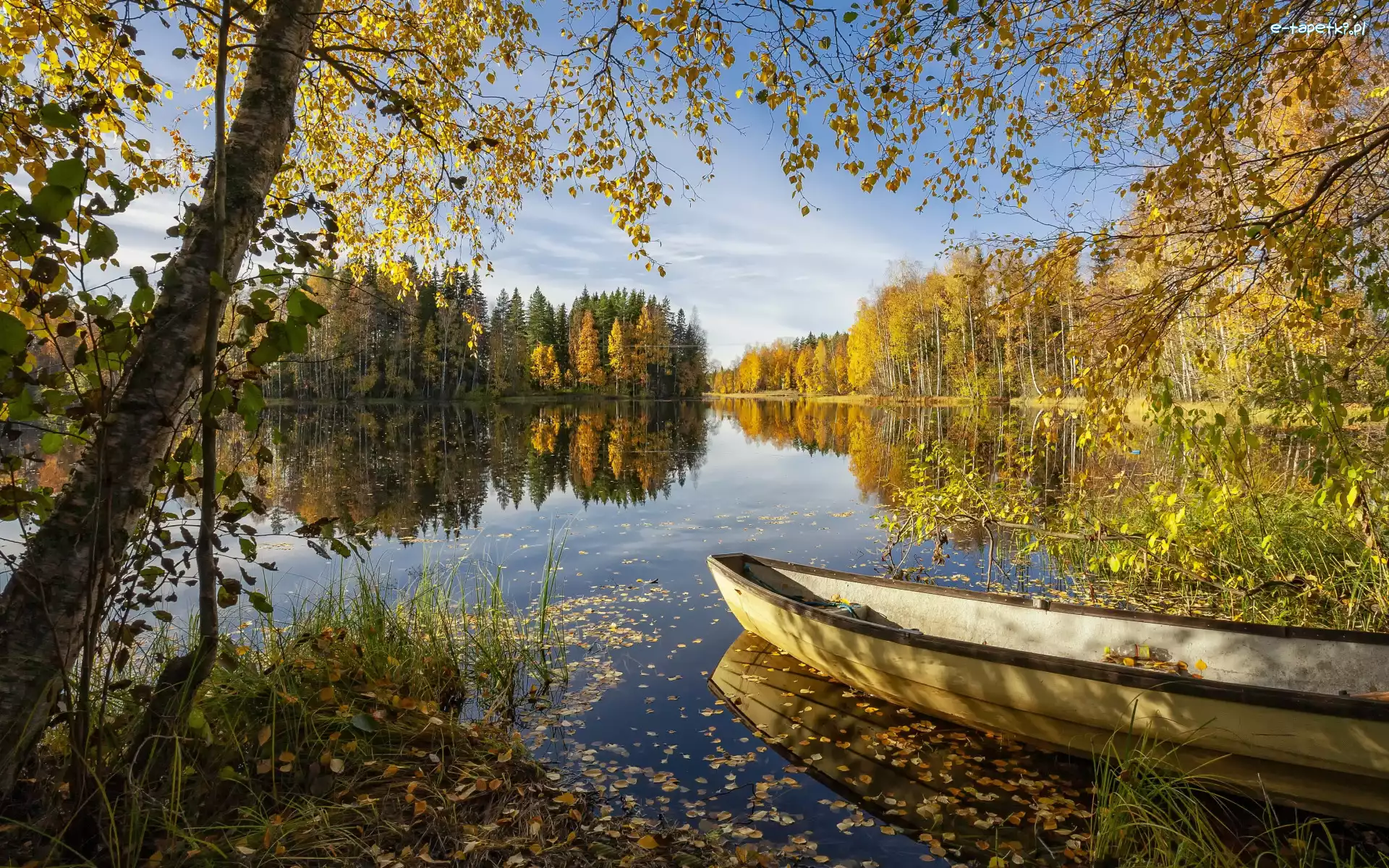 Brzozy, Łódka, Dzień, Słoneczny, Drzewa, Las, Jesień, Jezioro