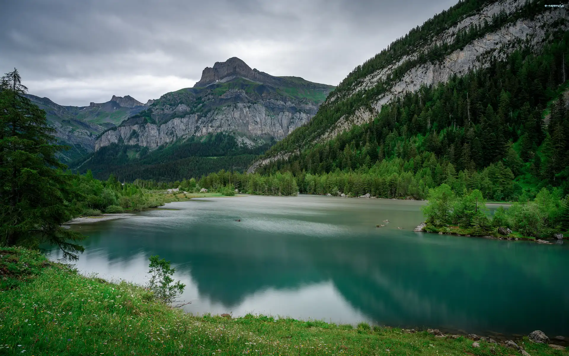 Lasy, Góry, Alpy Berneńskie, Kanton Valais, Szwajcaria, Lac de Derborence, Jezioro