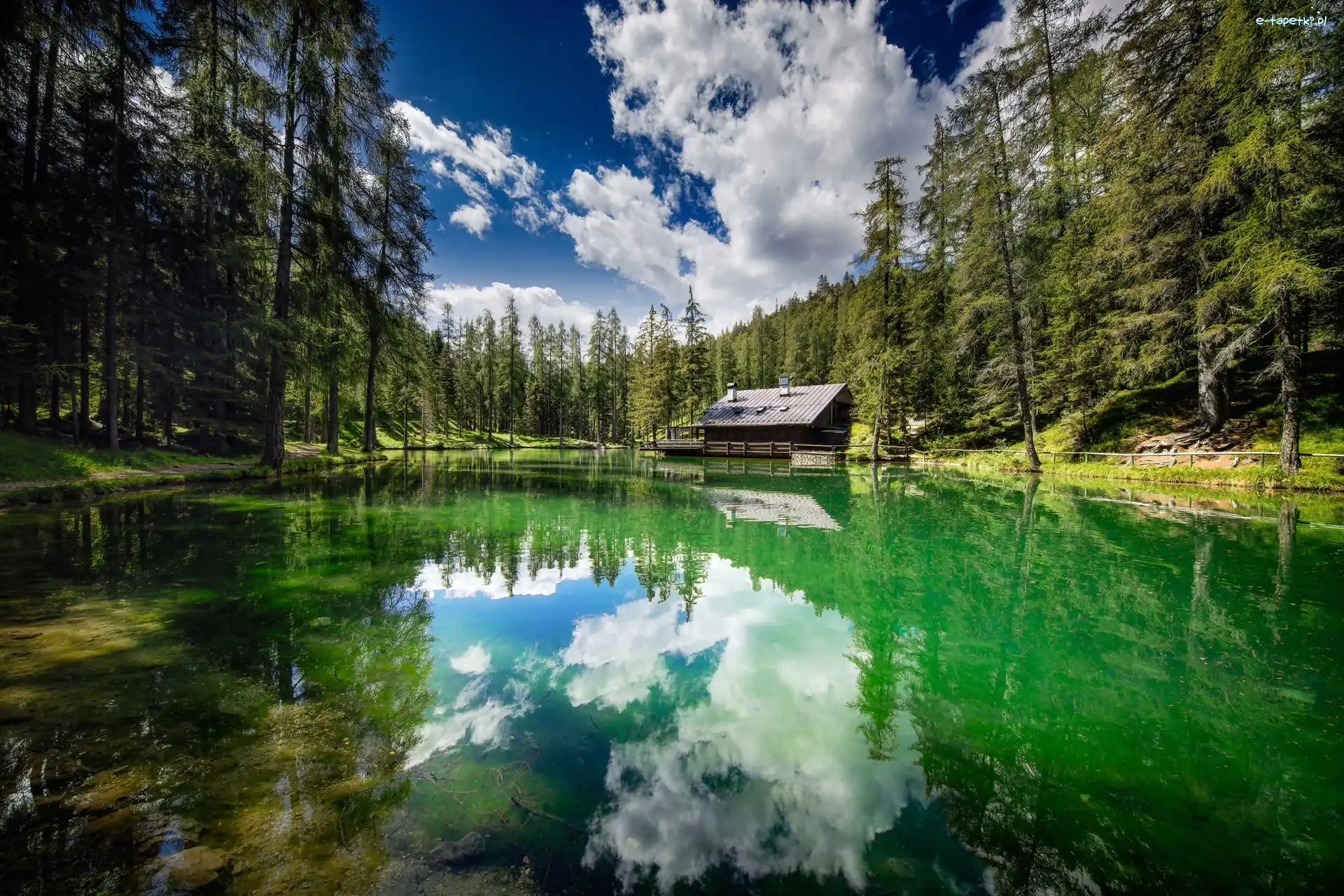 Drzewa, Jezioro, Lago Ghedina, Cortina d Ampezzo, Włochy, Las, Dom