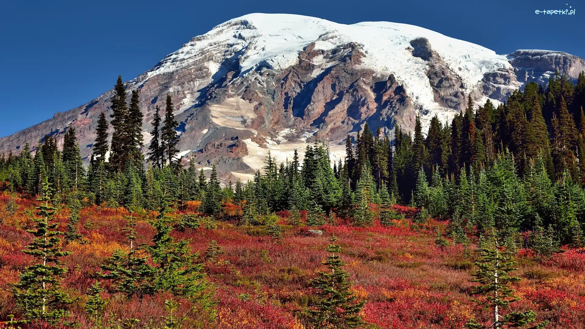 Stratowulkan Mount Rainier, Ośnieżony, Park Narodowy Mount Rainier, Stan Waszyngton, Stany Zjednoczone, Roślinność, Drzewa, Góry, Jesień