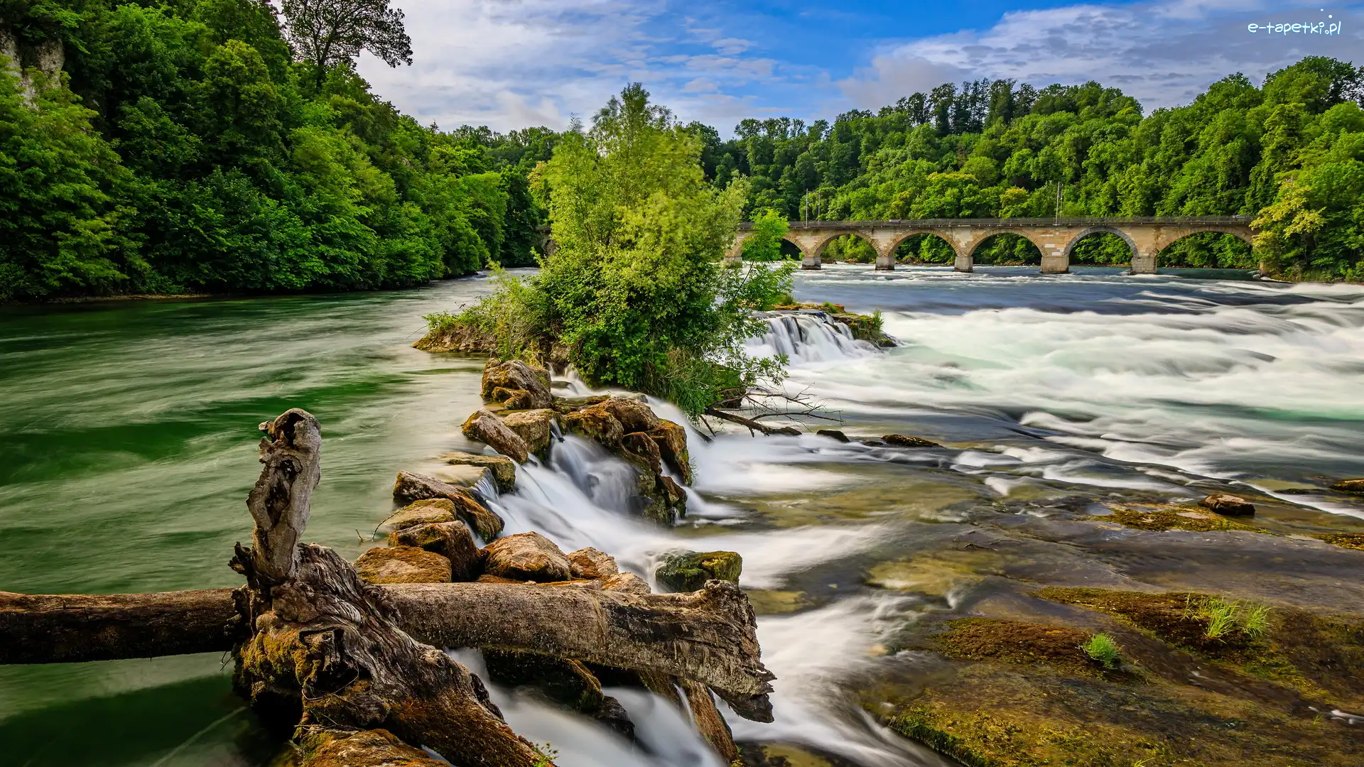 Most, Ren, Szwajcaria, Neuhausen am Rheinfall, Wodospad Rheinfall, Drzewa, Lasy, Rzeka