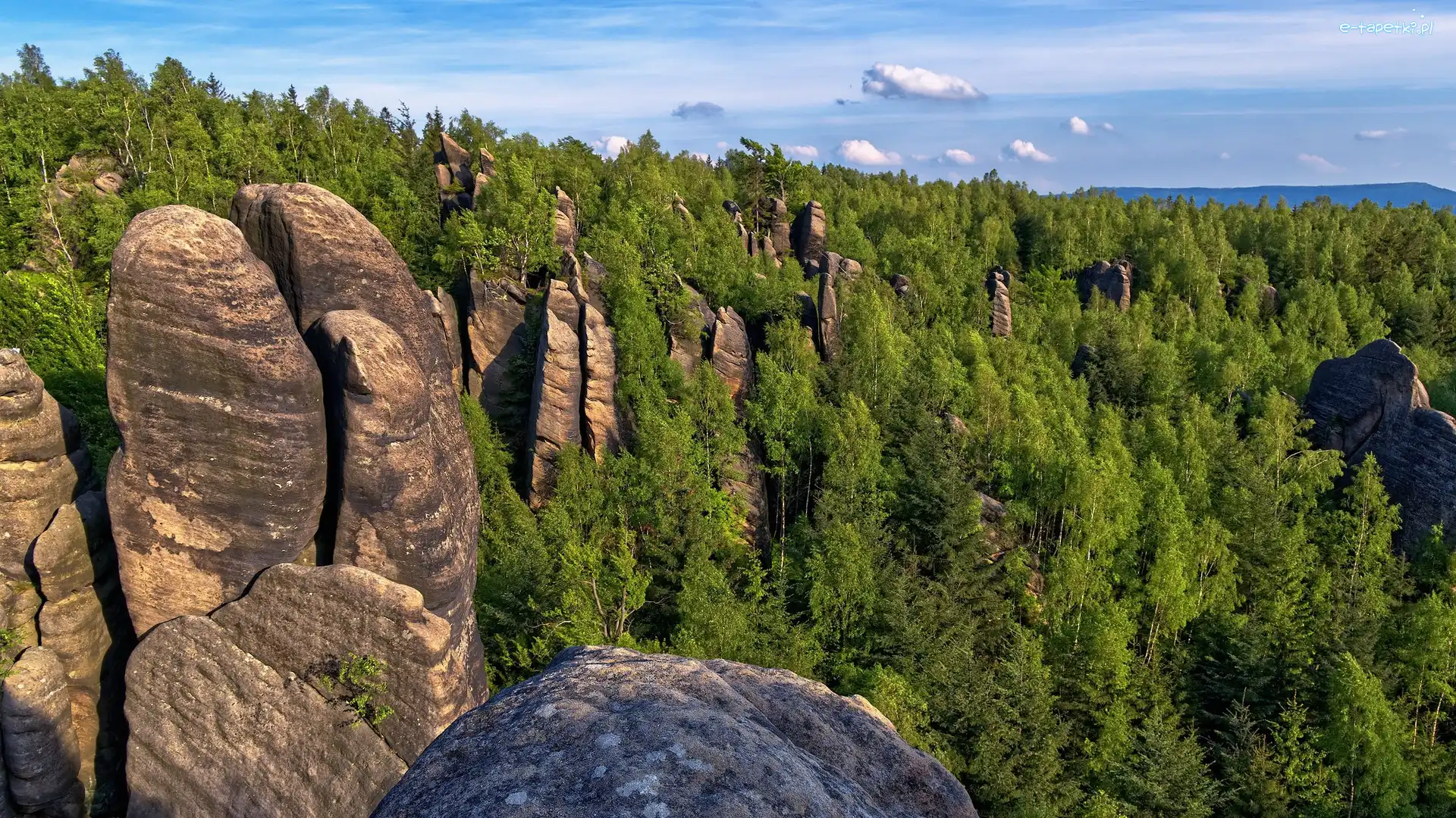 Broumovske steny, Formacja Skalni Divadlo, Góry, Czechy, Skały, Drzewa