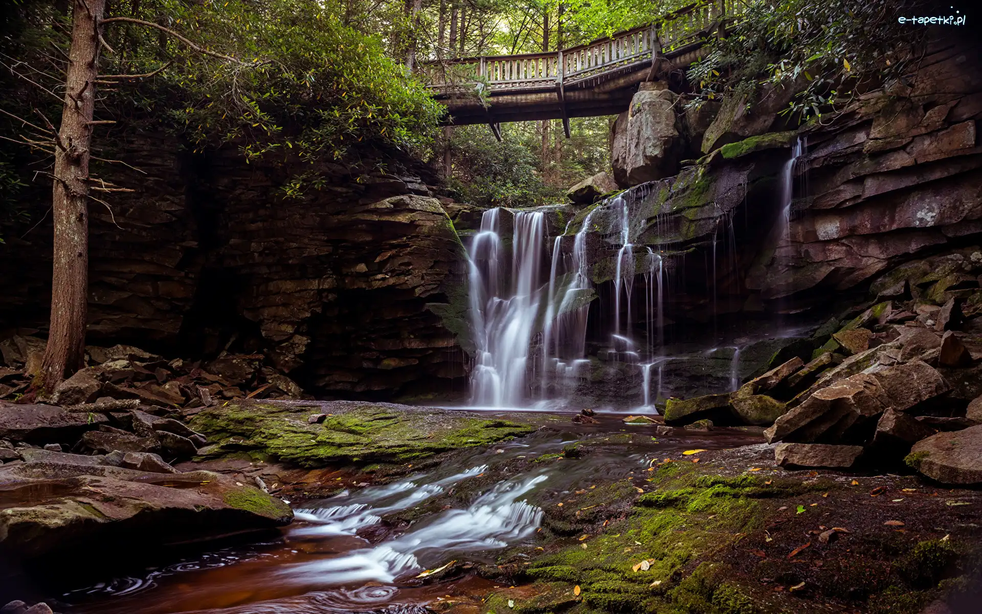Most, Park stanowy, Elekala Falls, Omszałe, Kamienie, Wirginia Zachodnia, Blackwater Falls State, Skały, Drzewa, Stany Zjednoczone, Las, Wodospad