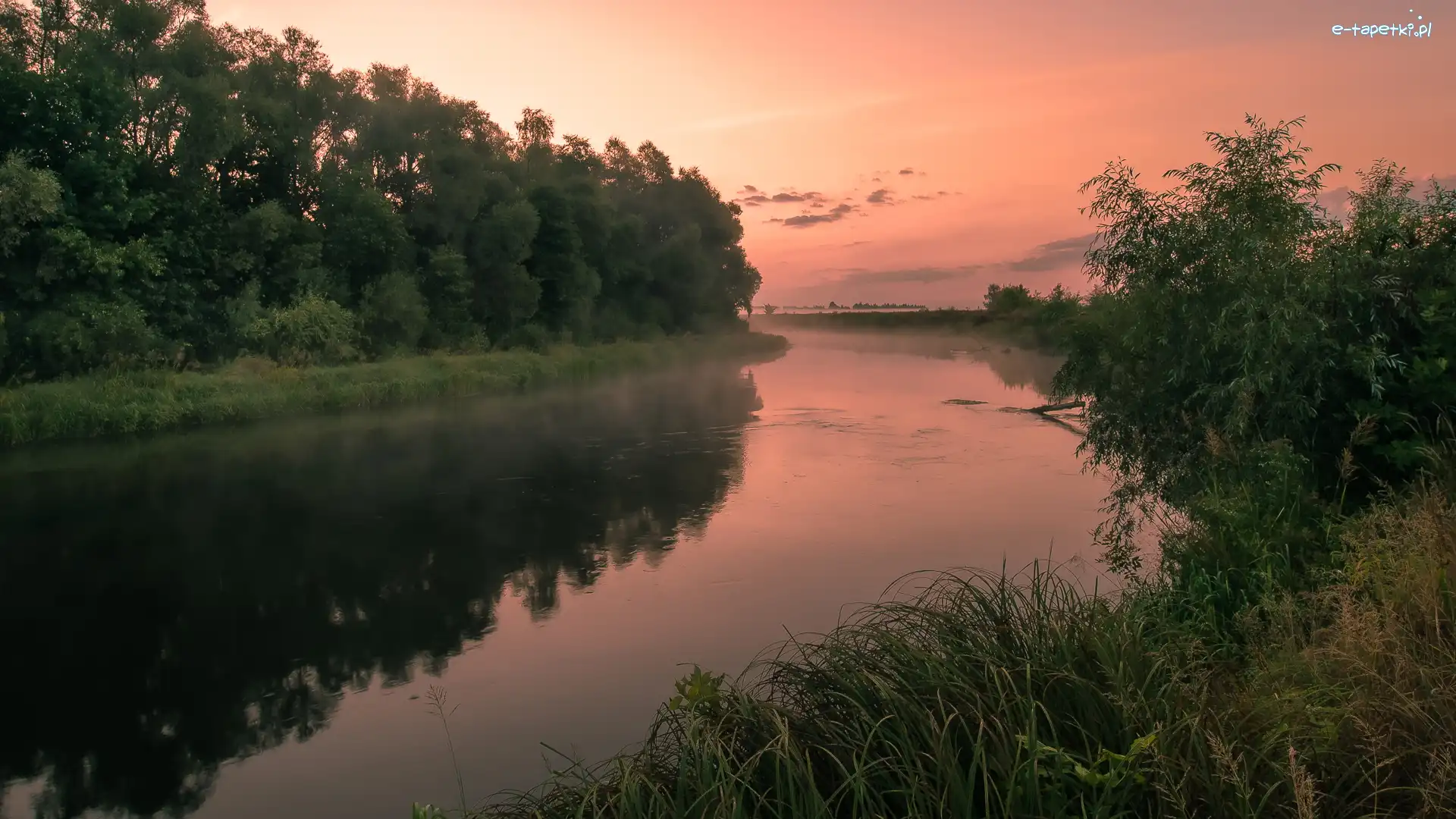 Rzeka, Trawa, Drzewa, Zachód słońca, Krzewy