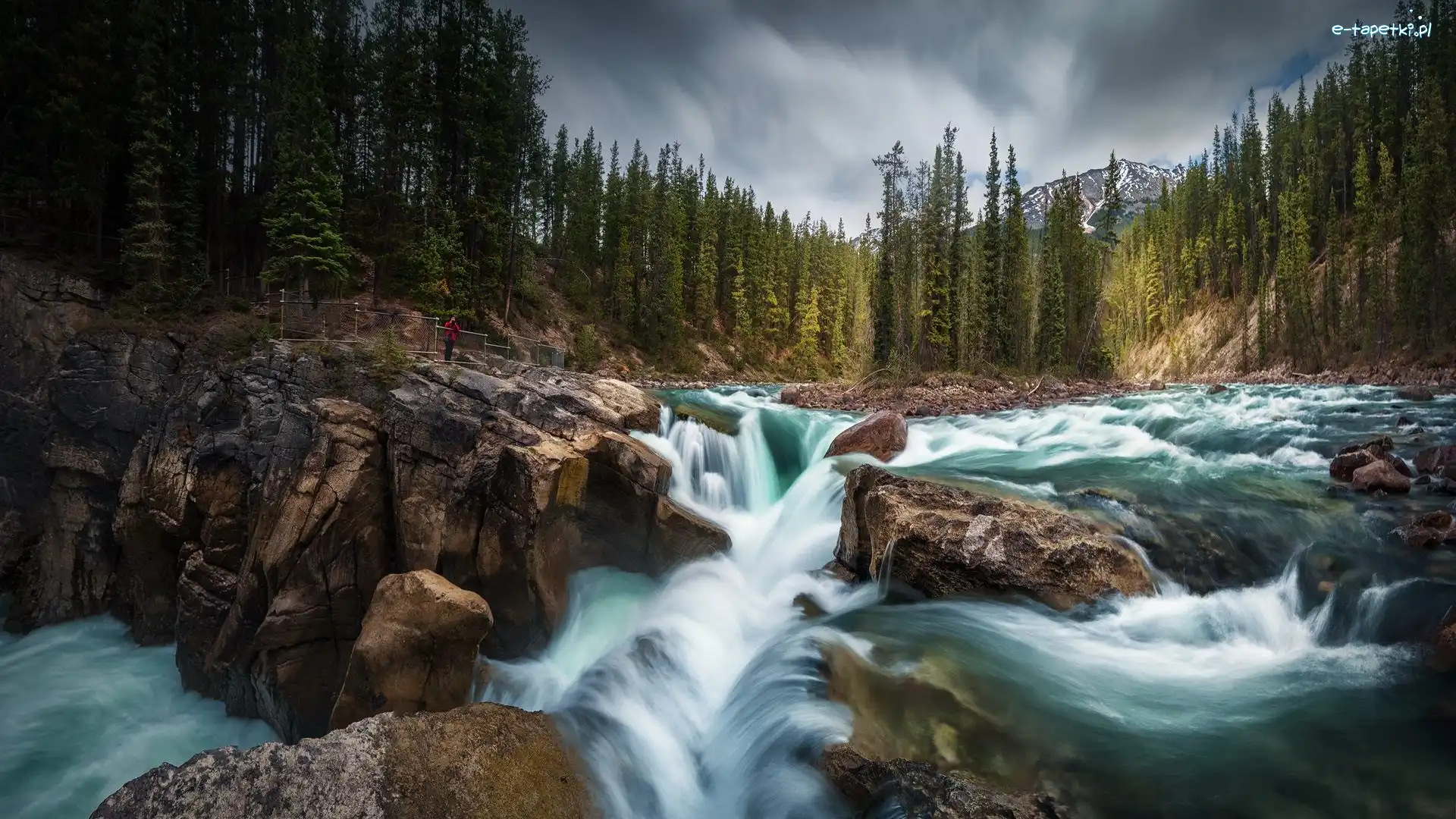Głazy, Skały, Sunwapta River, Rzeka, Wodospad Sunwapta Falls, Kanada, Alberta, Park Narodowy Jasper, Drzewa