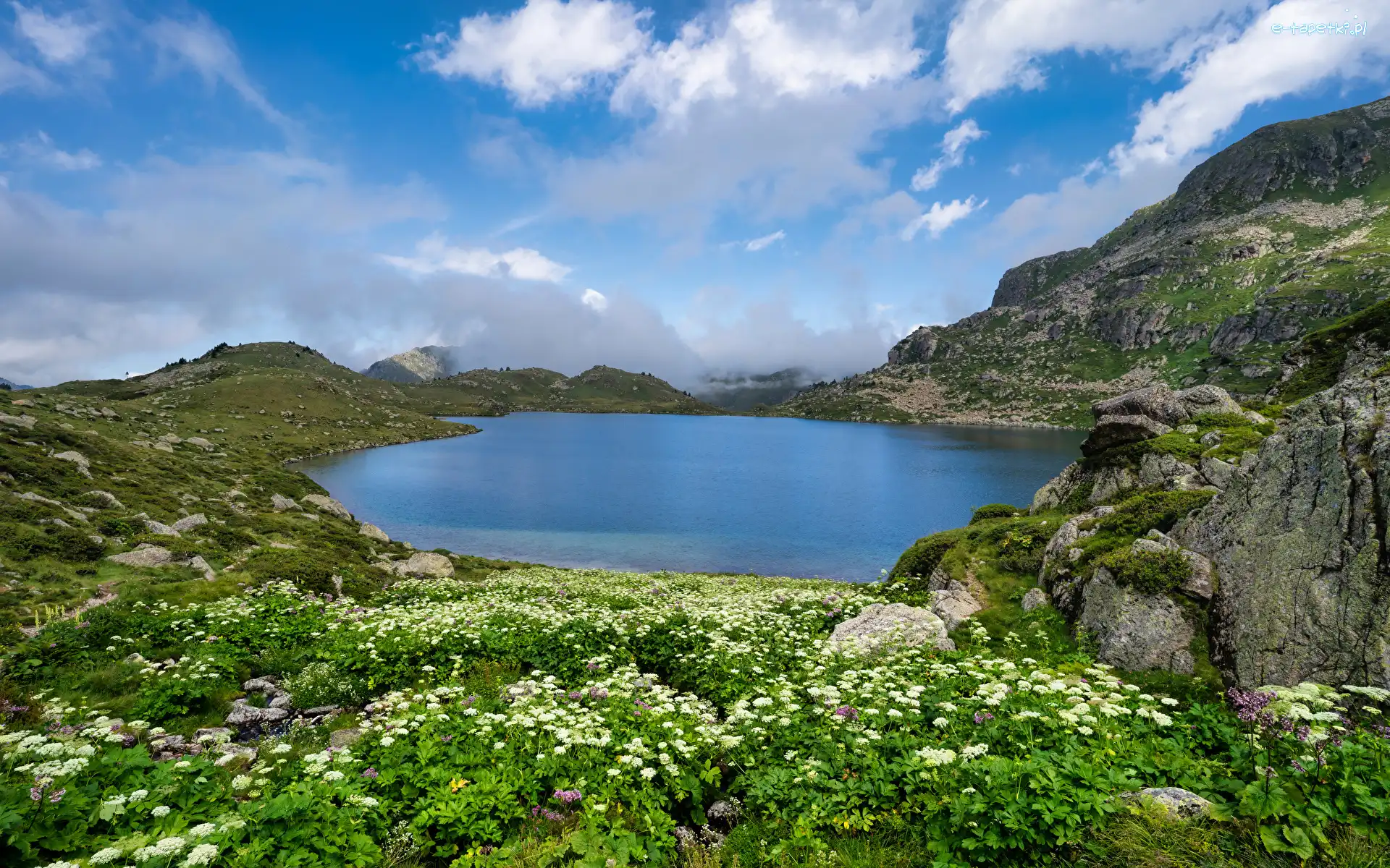 Skała, Etang De Fontargentes, Kamienie, Góry Pireneje, Francja, Chmury, Rośliny, Jezioro, Kwiaty