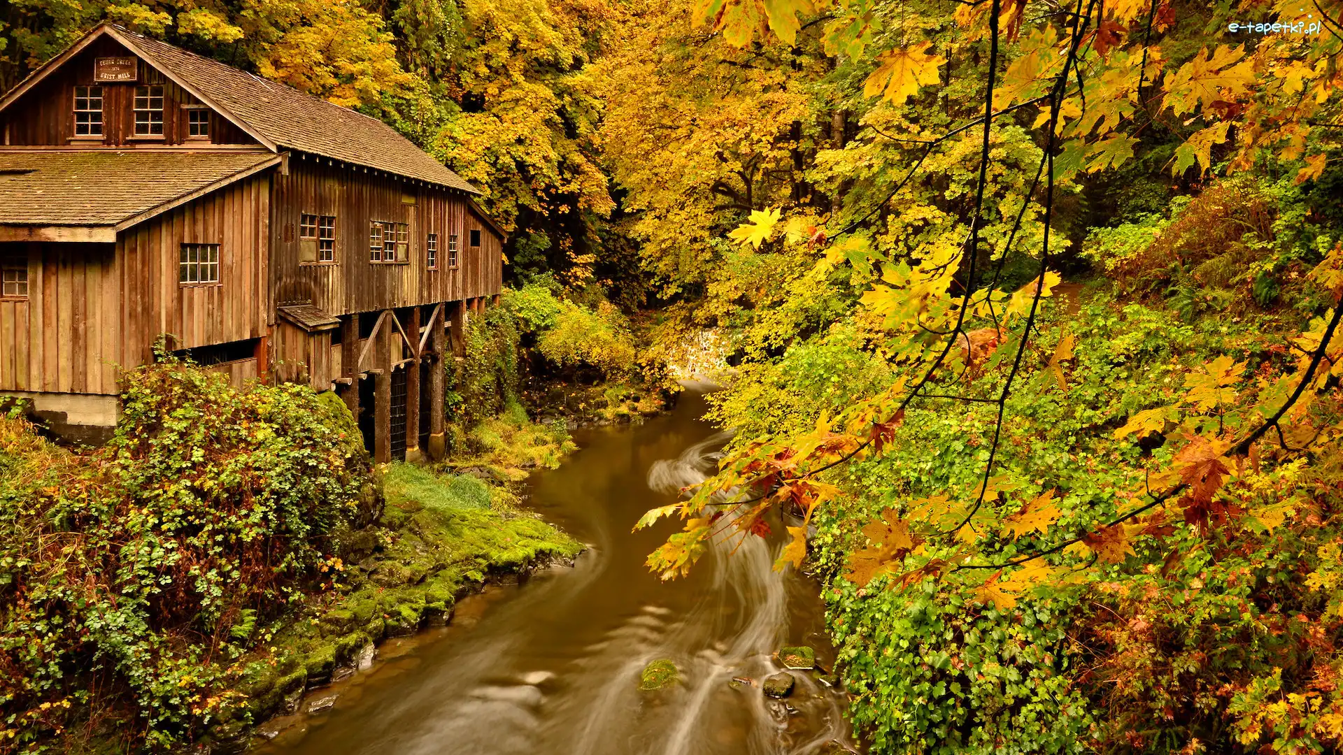 Woodland, Cedar Creek Grist Mill, Stany Zjednoczone, Jesień, Lewis River, Drzewa, Las, Młyn, Rzeka, Stan Waszyngton