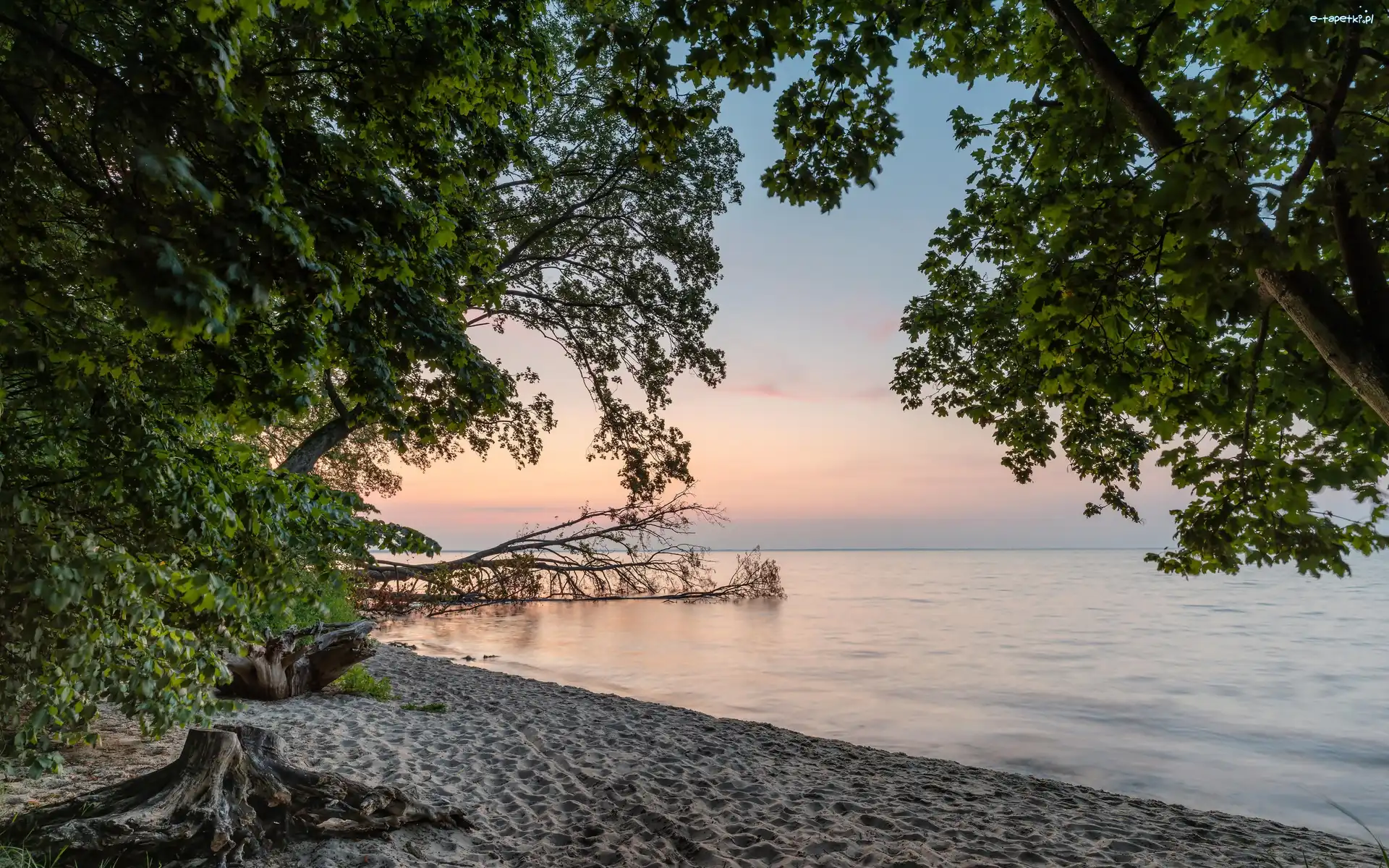 Morze, Piasek, Plaża, Wschód słońca, Drzewa