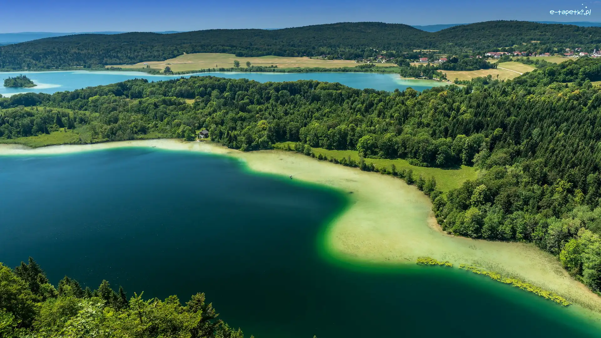 Francja, Lasy, Zielone, Lac de Narlay, Jezioro, Jura, Drzewa
