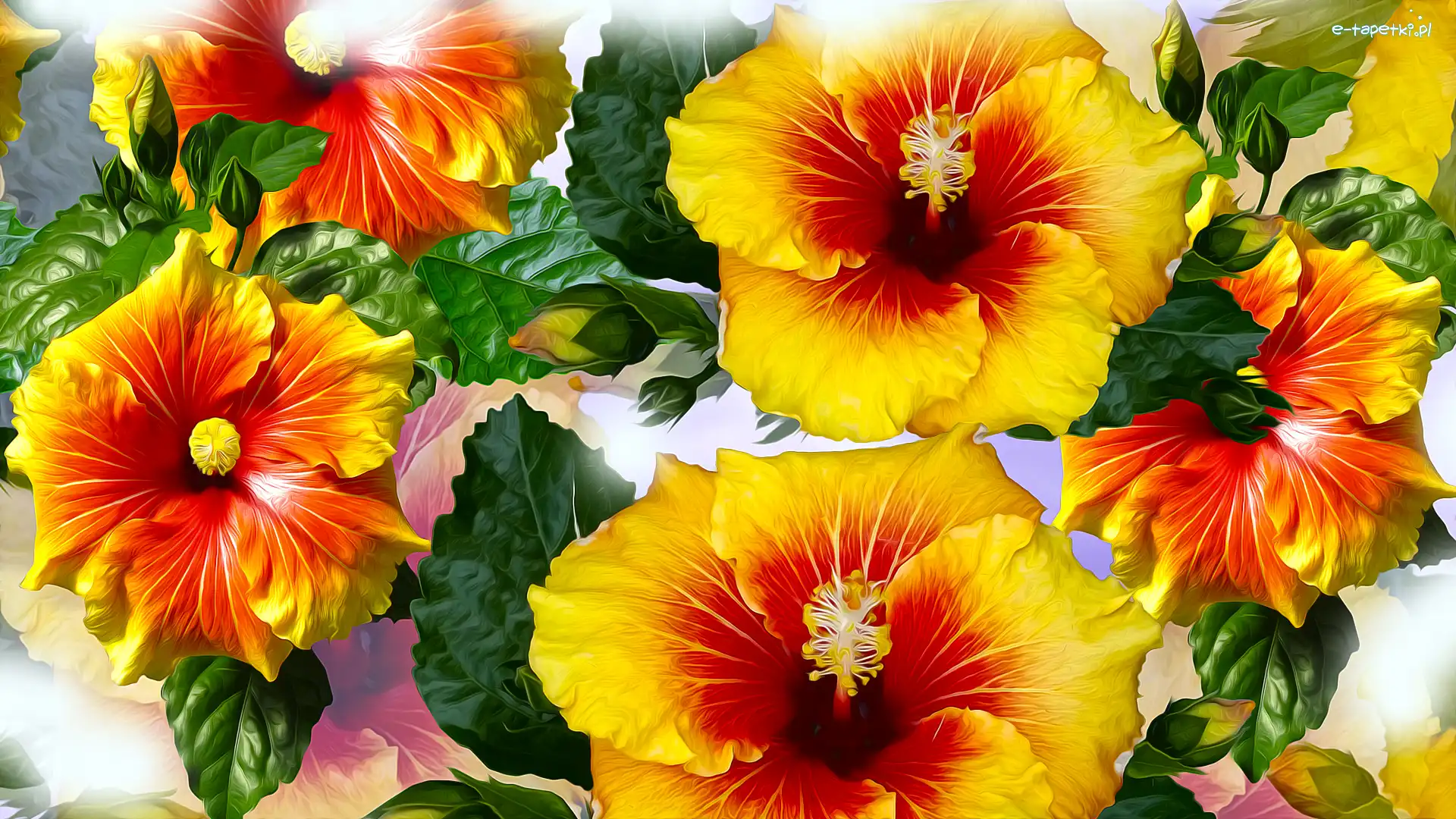 Żółte, Grafika, Hibiskusy, Kwiaty