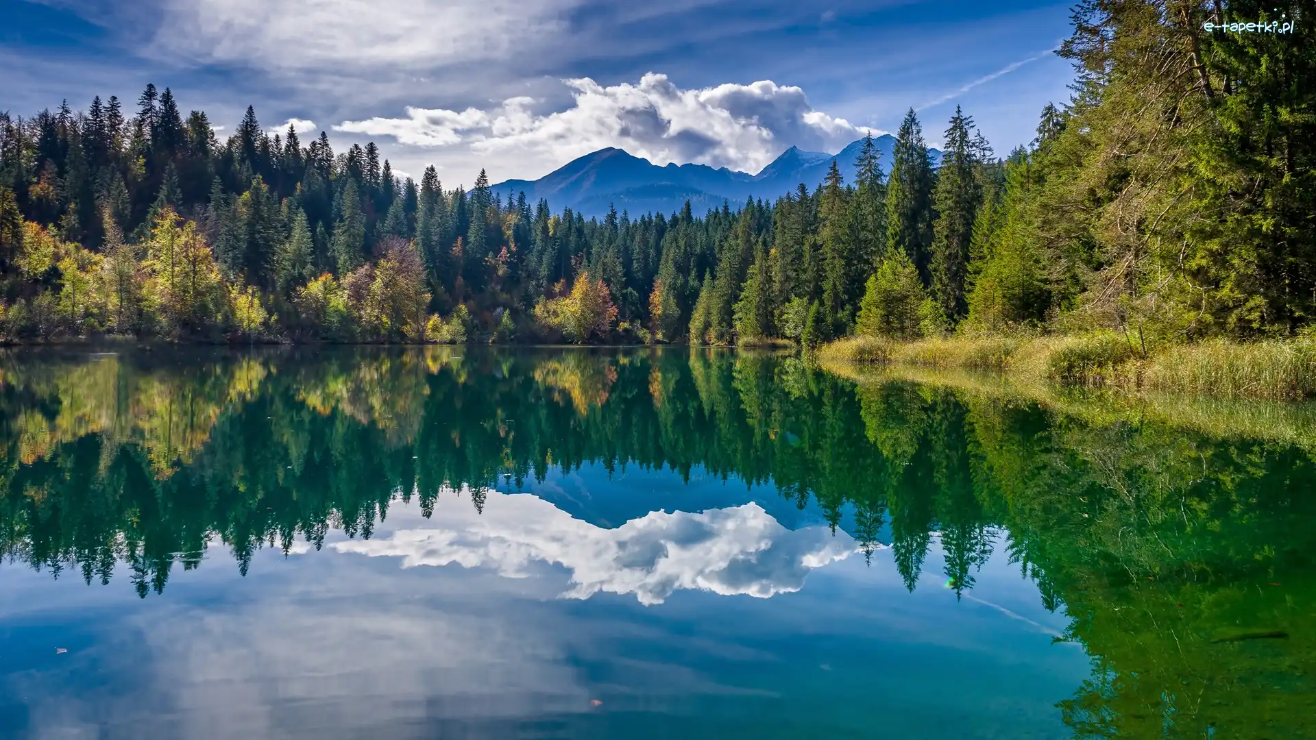 Chmury, Góry, Jezioro, Kanton Gryzonia, Szwajcaria, Drzewa, Lake Cresta