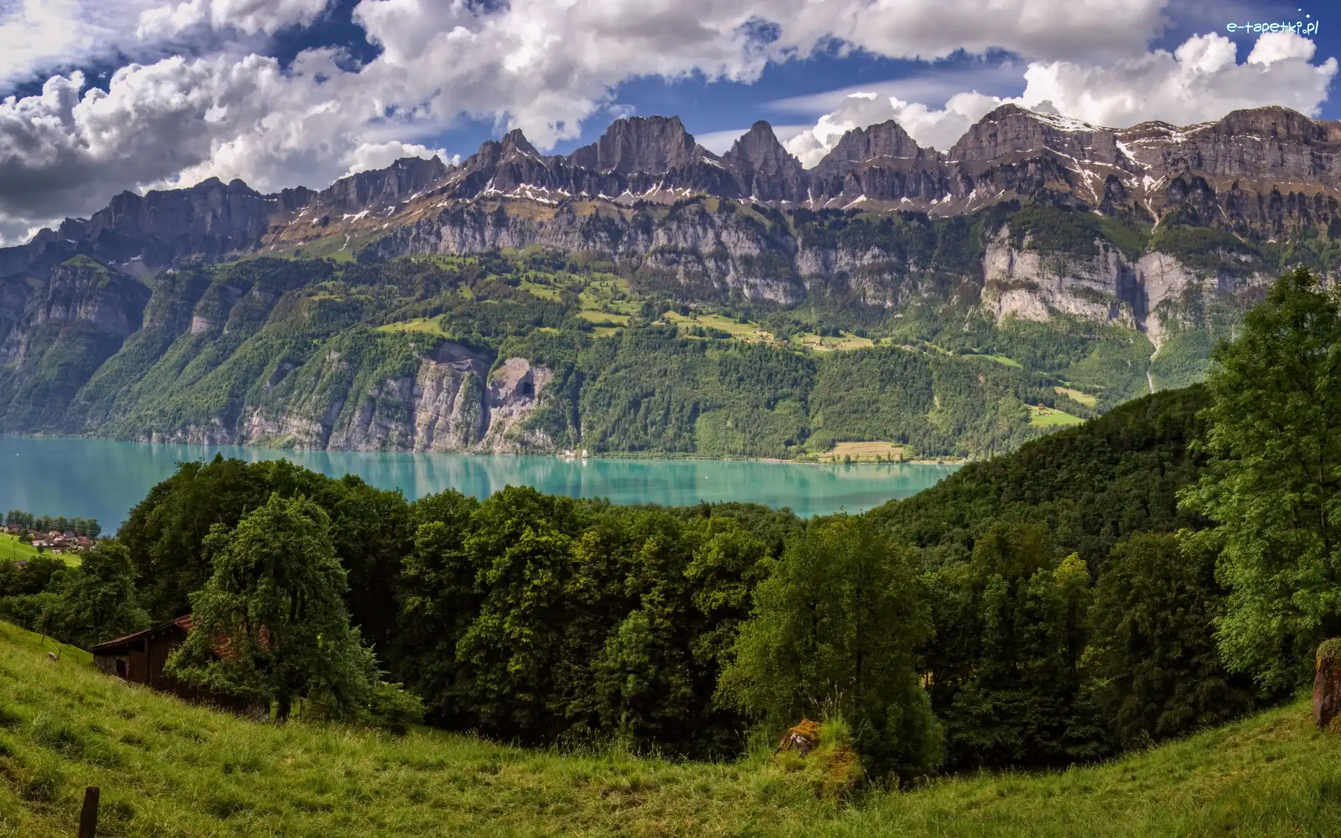 Pasmo górskie, Góry, Drzewa, Walensee, Trawa, Chmury, Alpy, Łąka, Jezioro, Szwajcaria, Churfirsten, Lasy