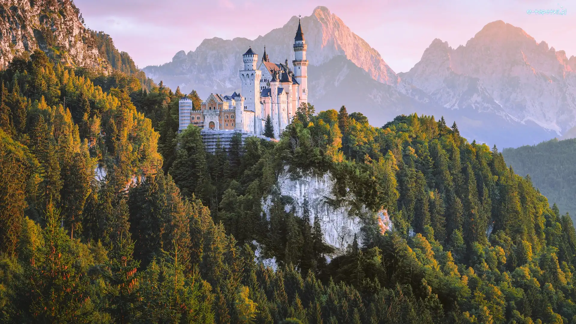 Niemcy, Zamek Neuschwanstein, Drzewa, Alpy, Góry, Bawaria, Skały
