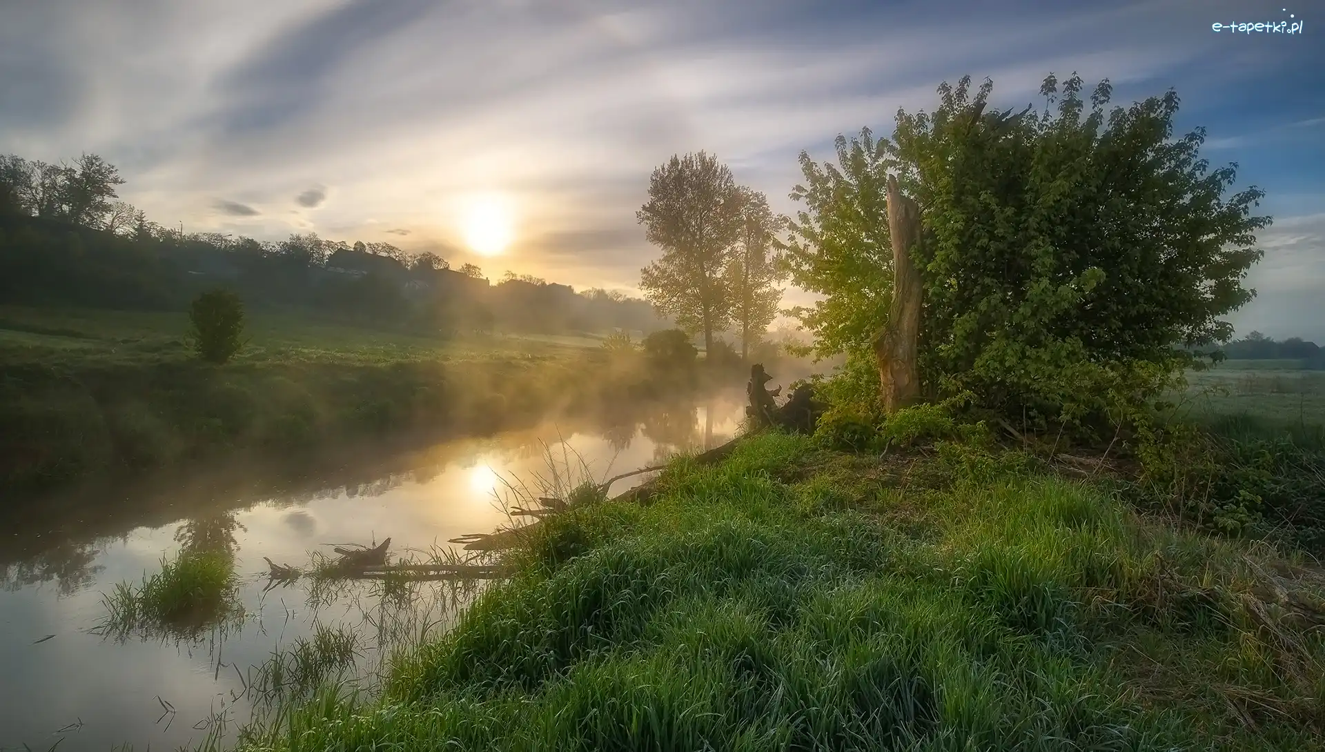 Drzewa, Trawa, Wschód słońca, Rzeka